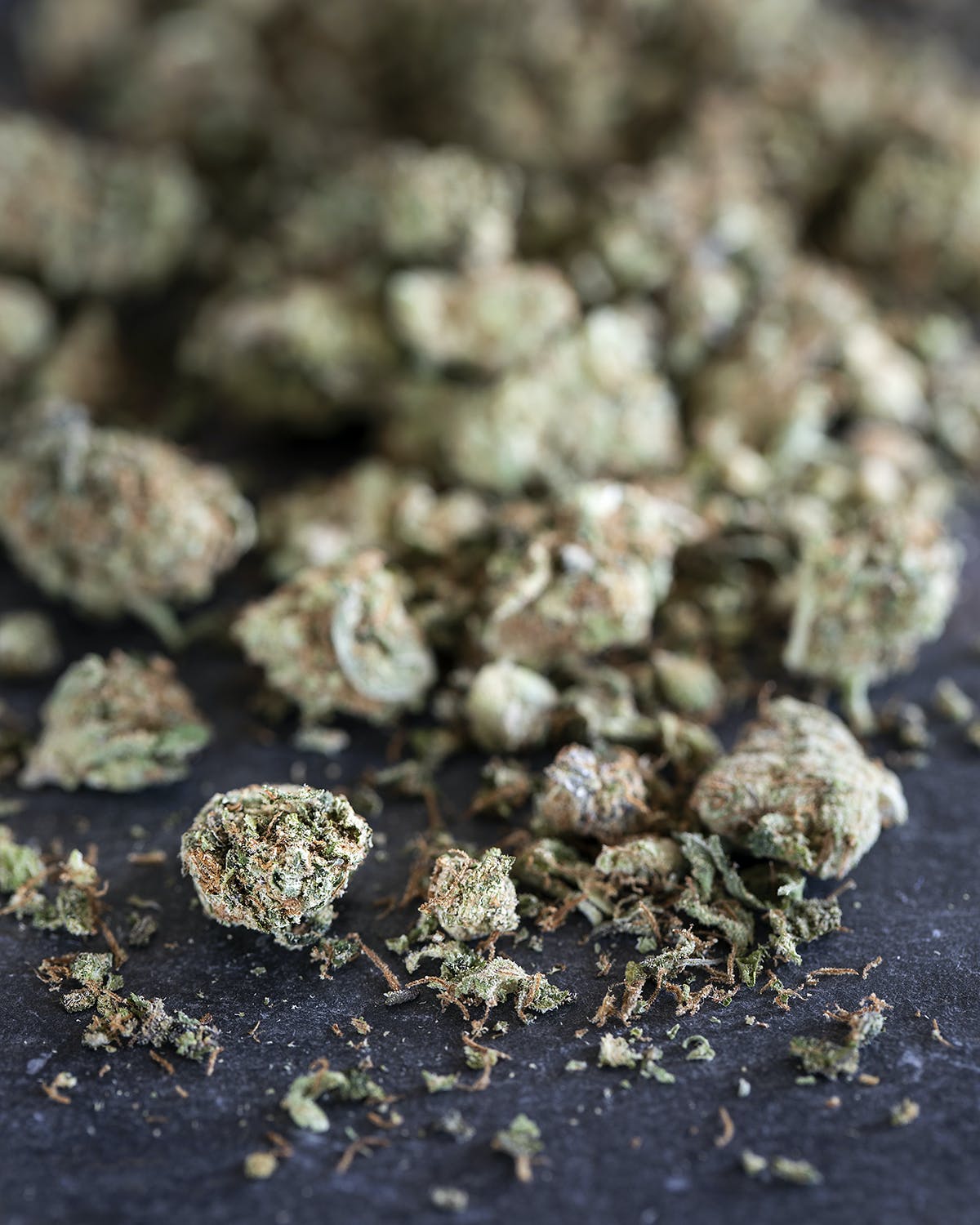 Orange Mojito Small Buds/Shake 14 grams