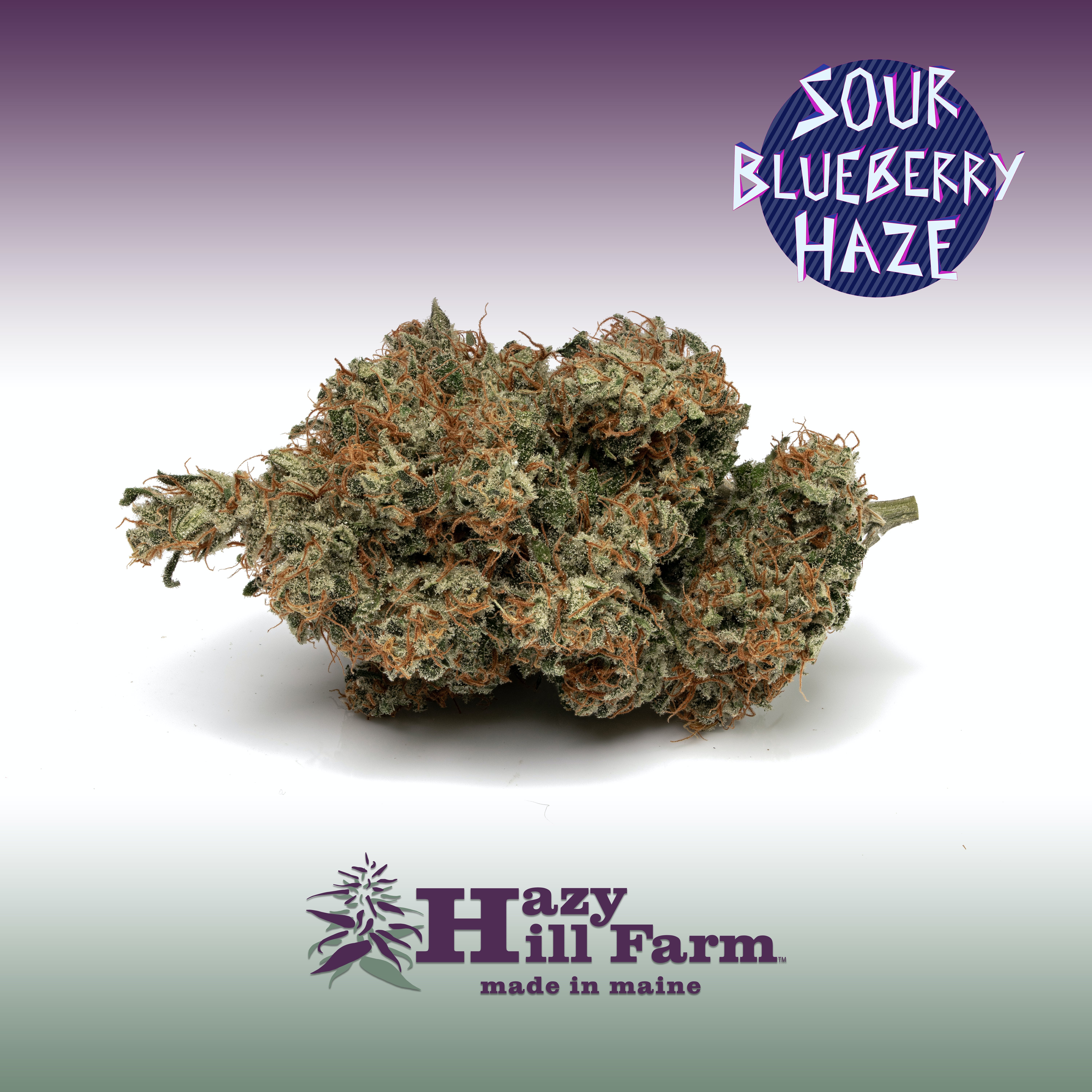 Sour Blueberry Haze