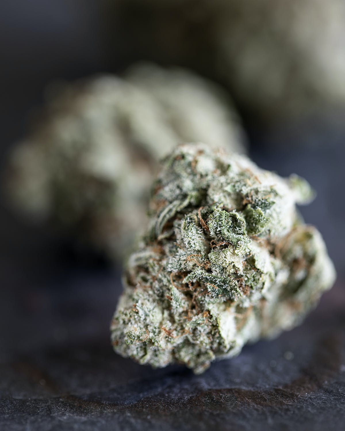 Star Dawg 1/8th (3.5 grams)