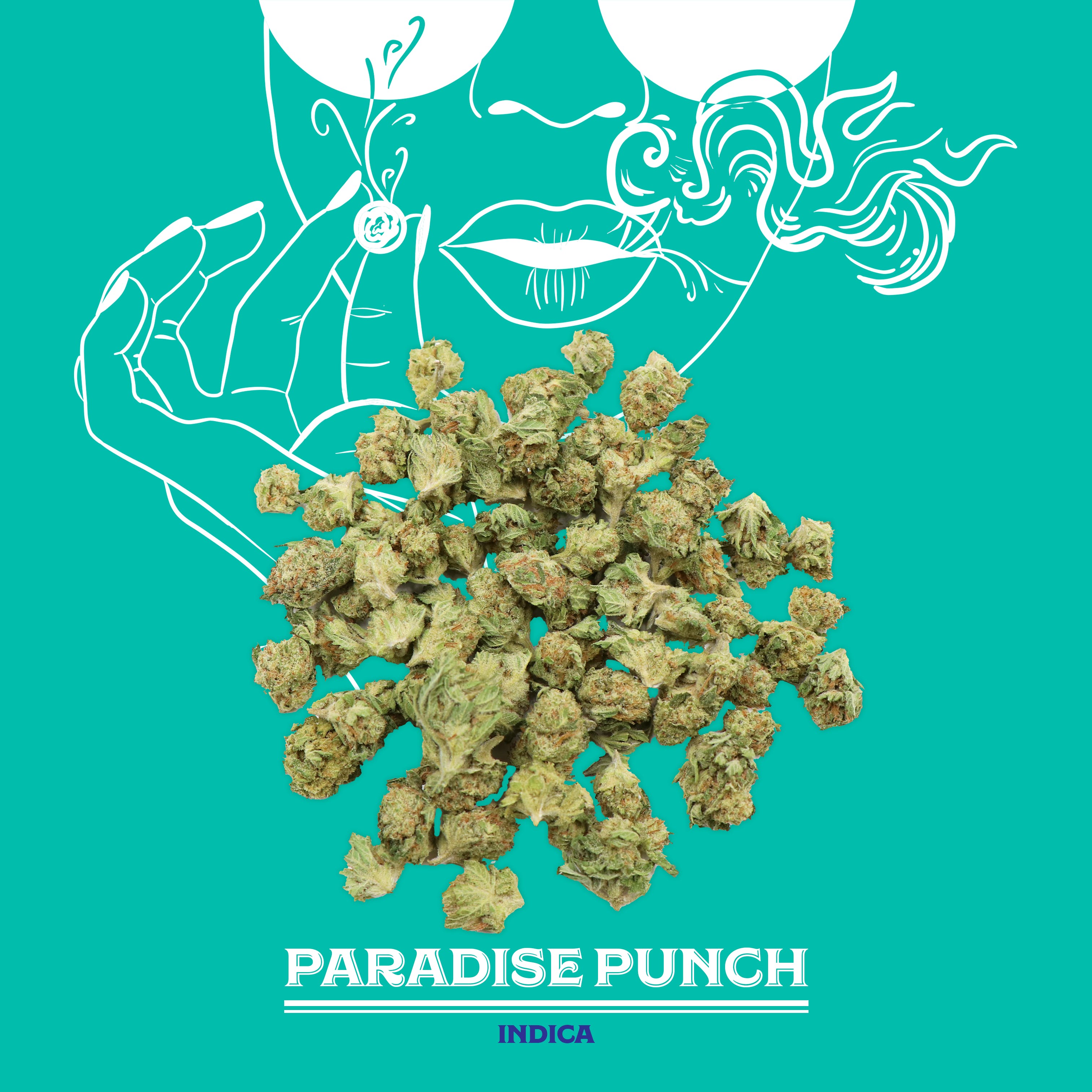 Paradise Punch | 14G | Mixed Light Smalls