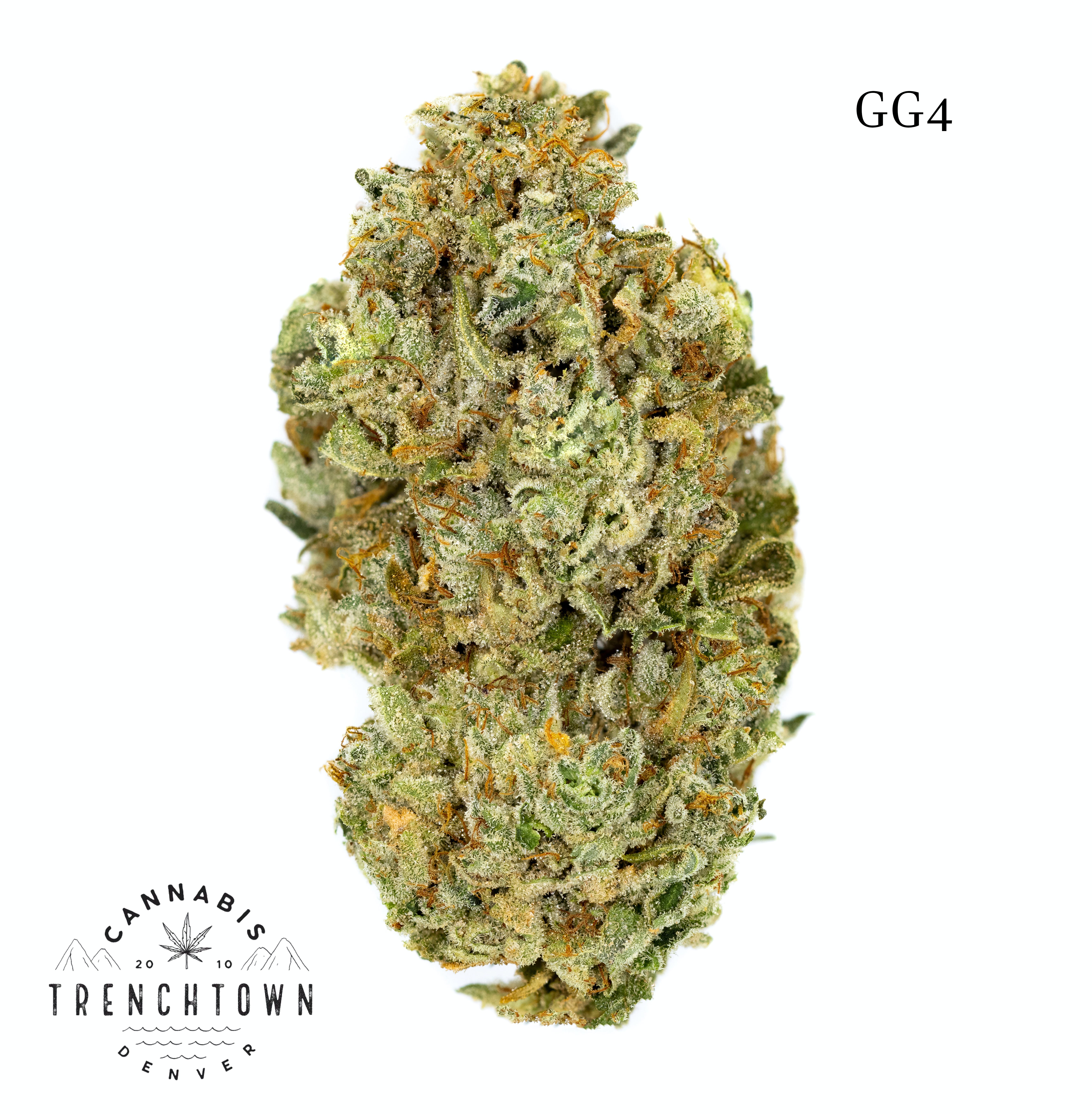 GG #4