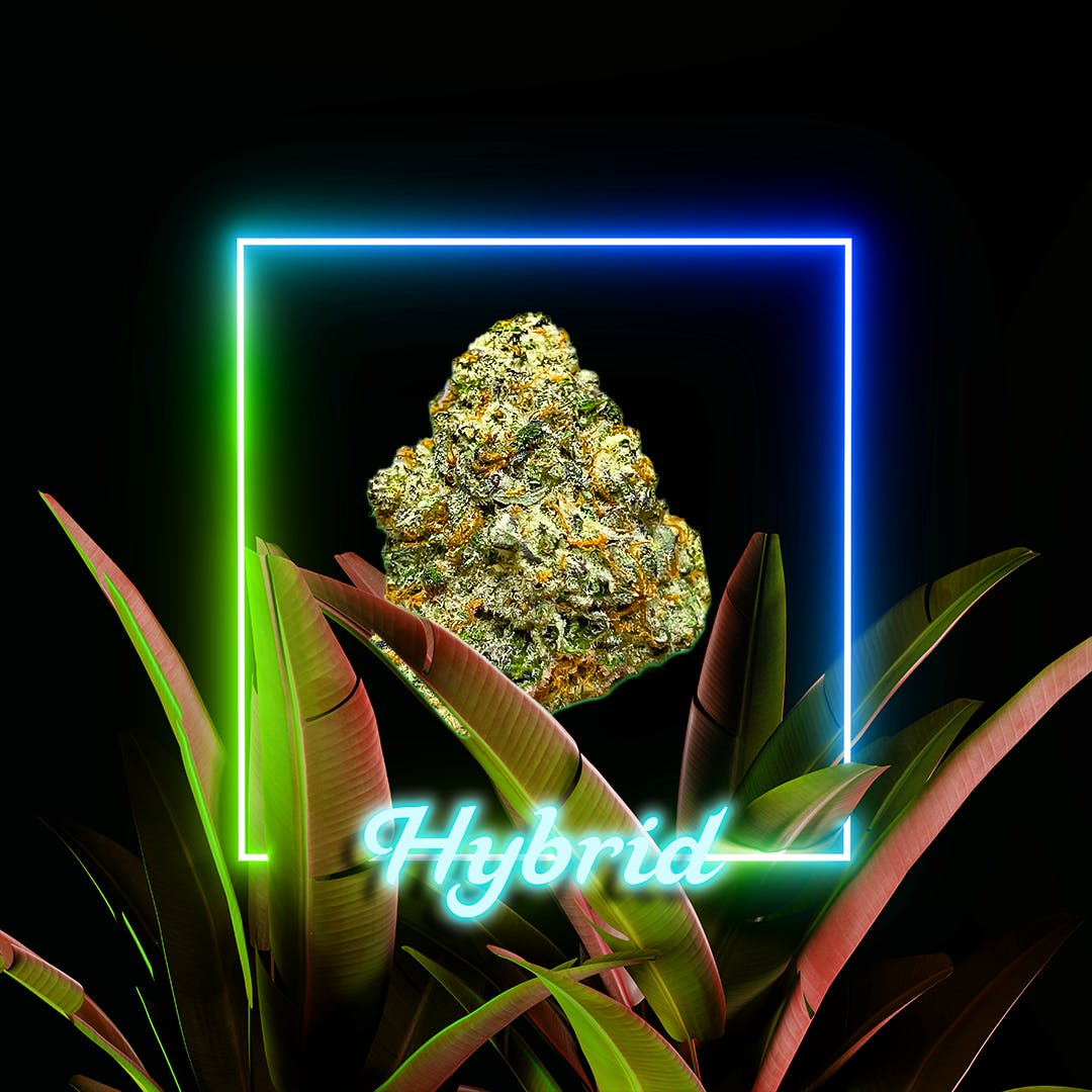 Kush Mints I 3.5 grams I The Distributr