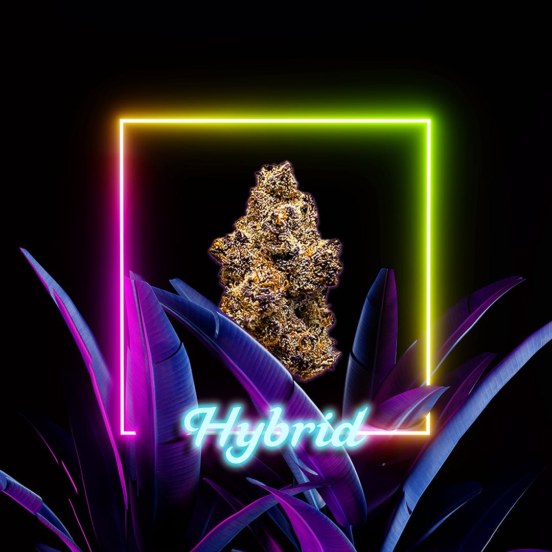 Space Cake I 3.5 grams I The Distributr