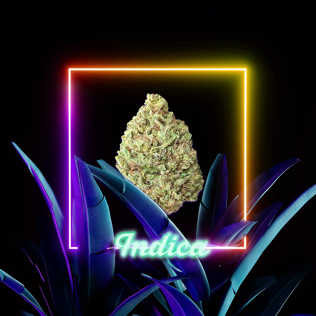 Wedding Cake l 3.5 grams l The Distributr l Sun Grown