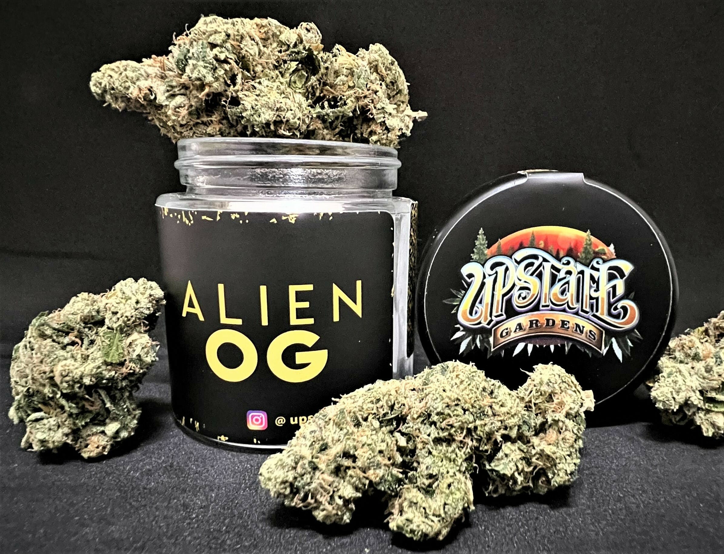 Flower: Alien OG