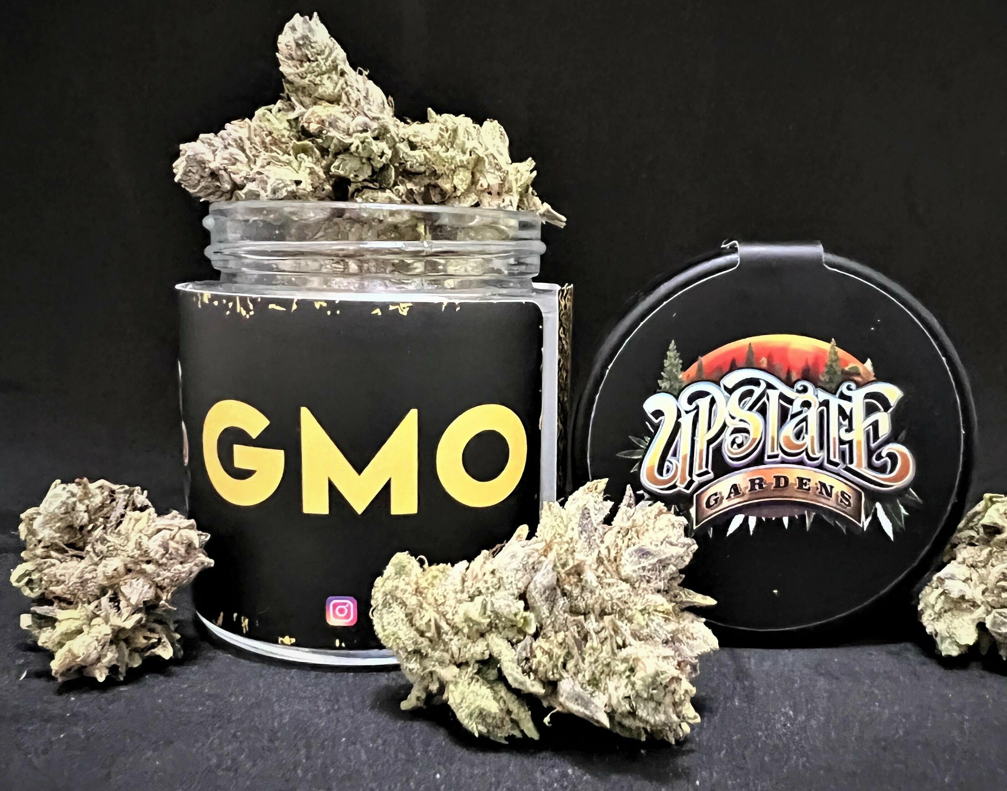 GMO
