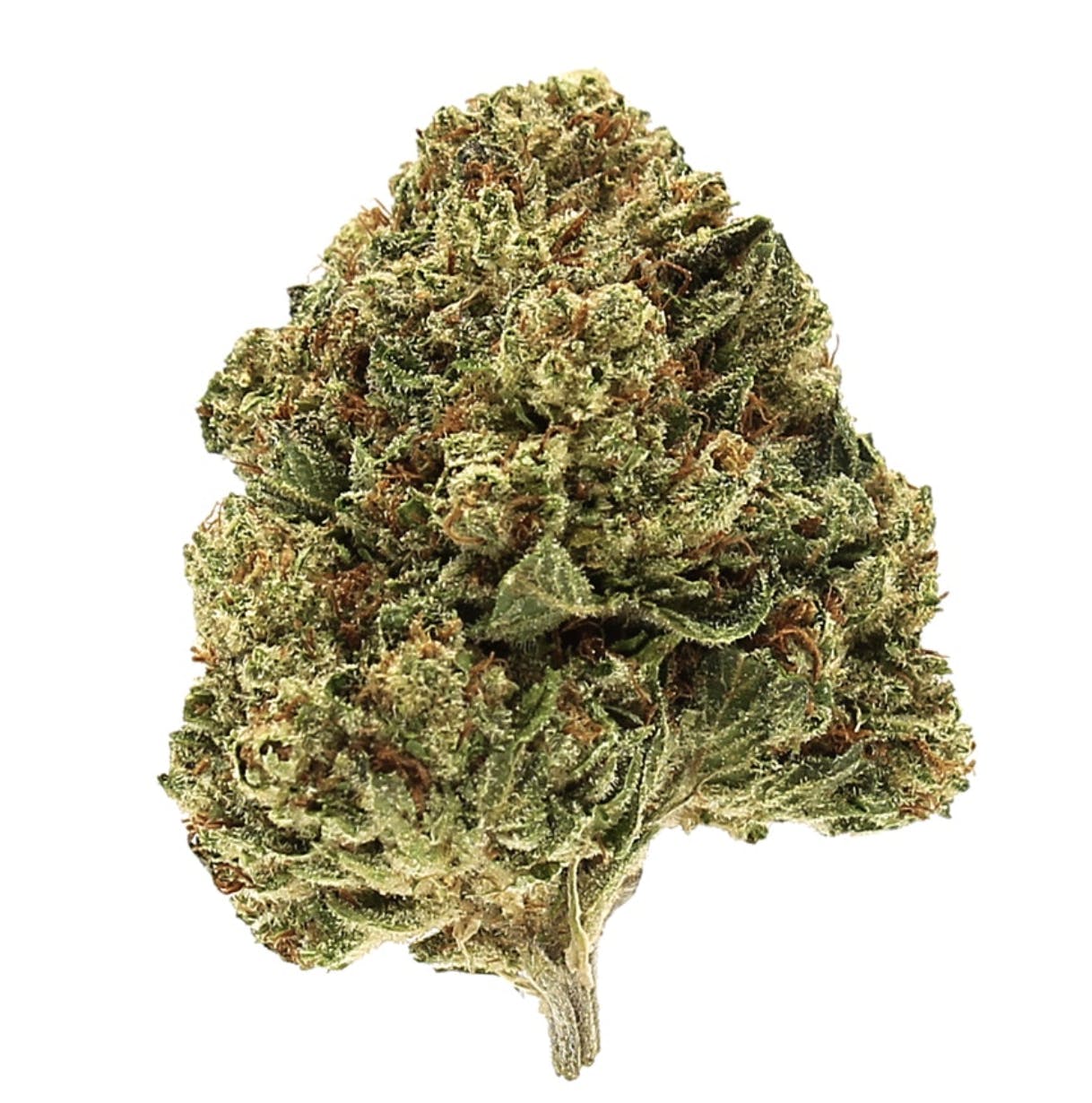 Lemon Pound Cake Bigs 1/2 Ounce/14 grams (24% THC, Indica)