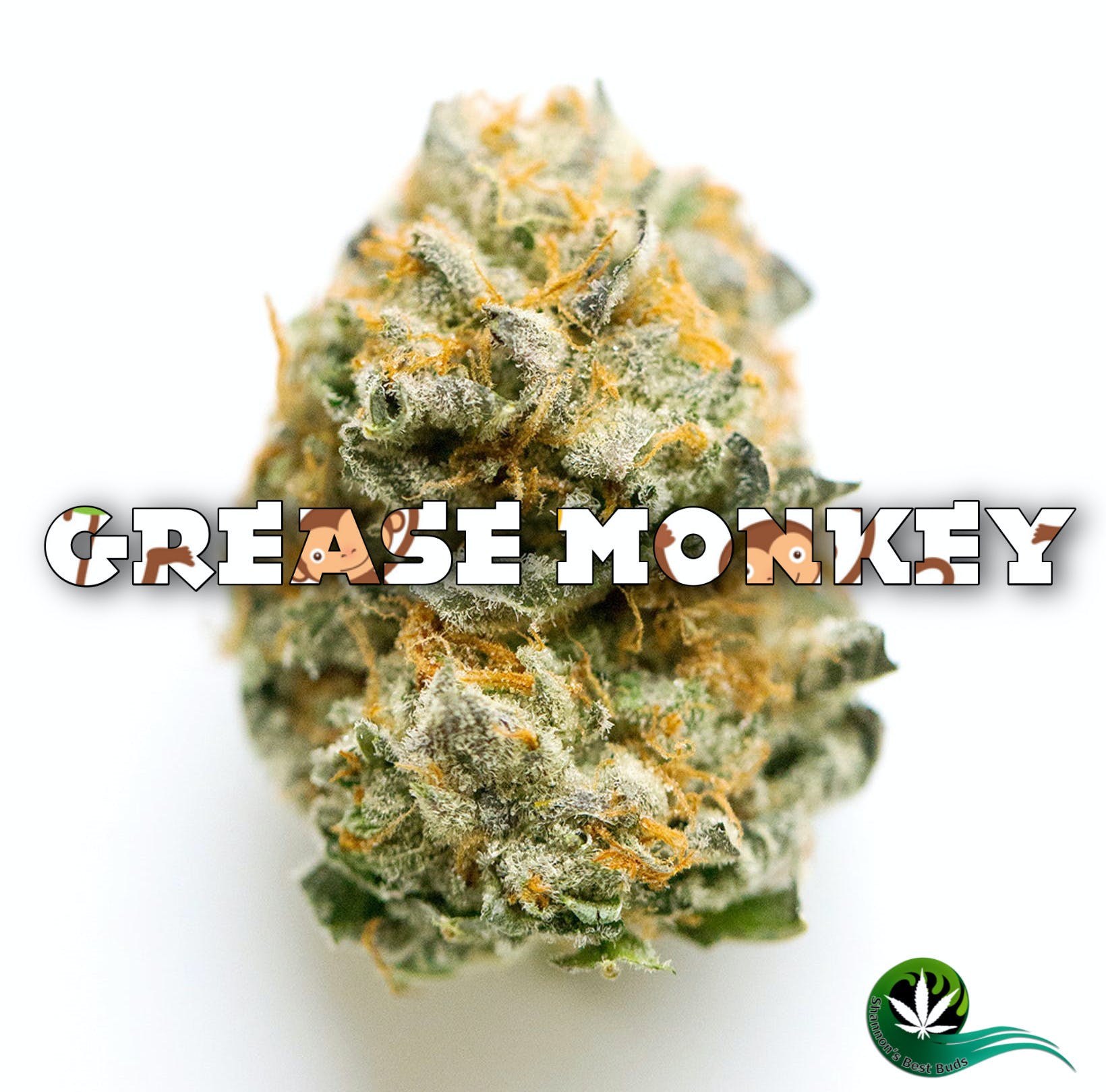 Grease Monkey