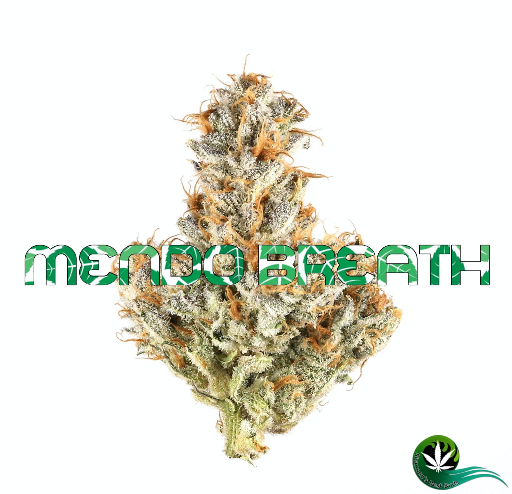 Mendo Breath