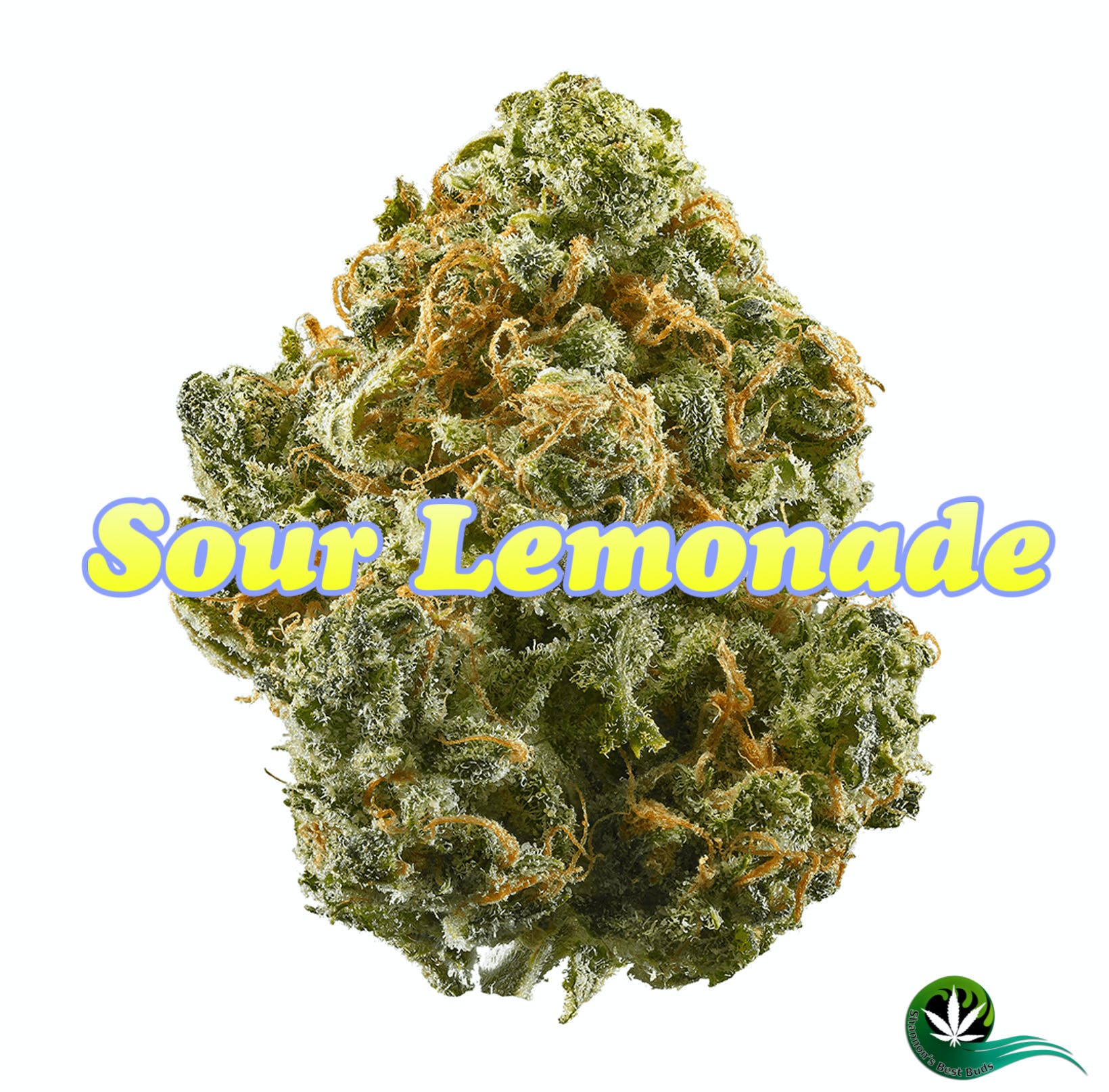 Sour Lemonade