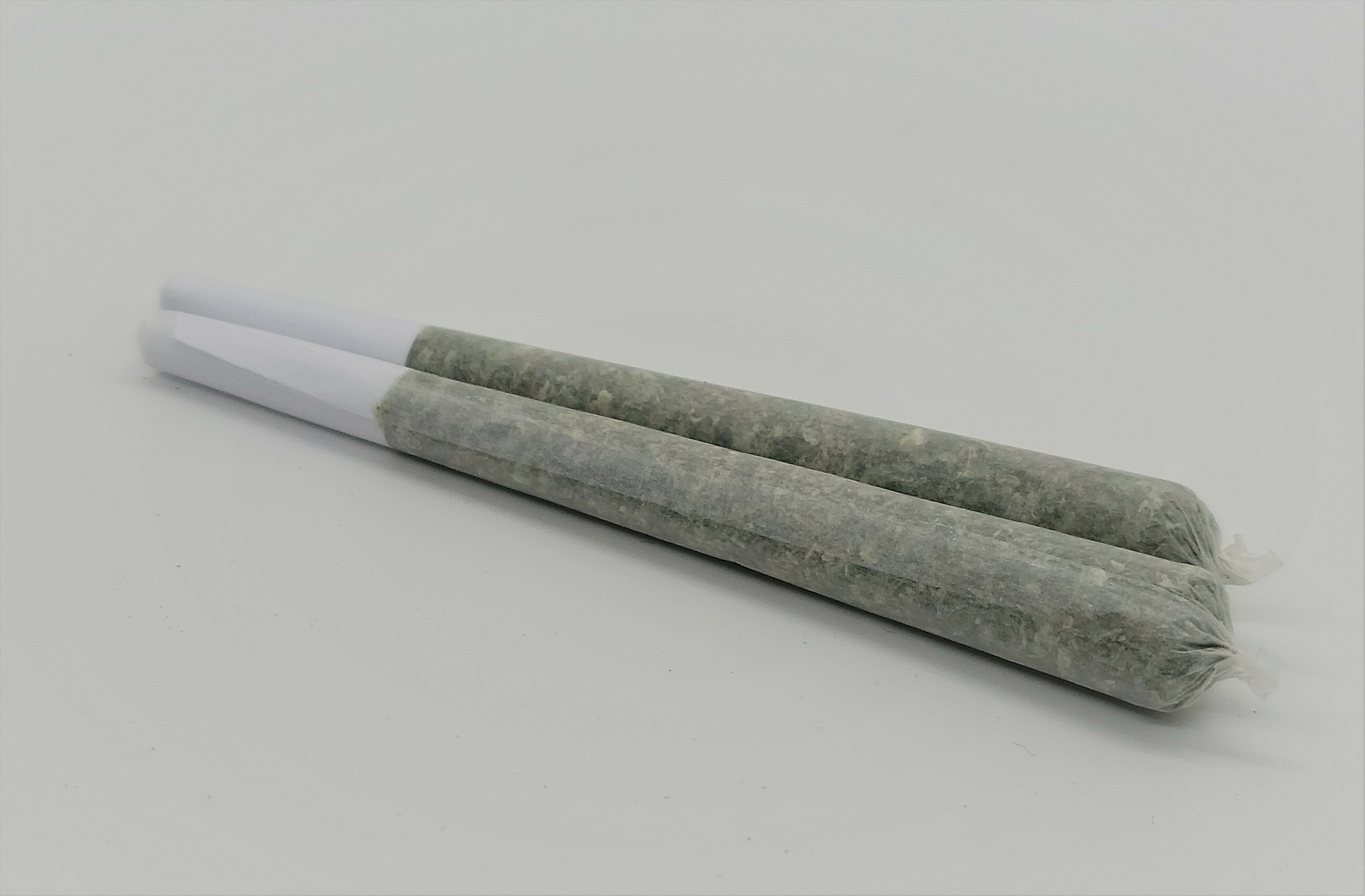 DIESEL PRE-ROLL 1 GRAM - SOUTH PORT CANNABIS