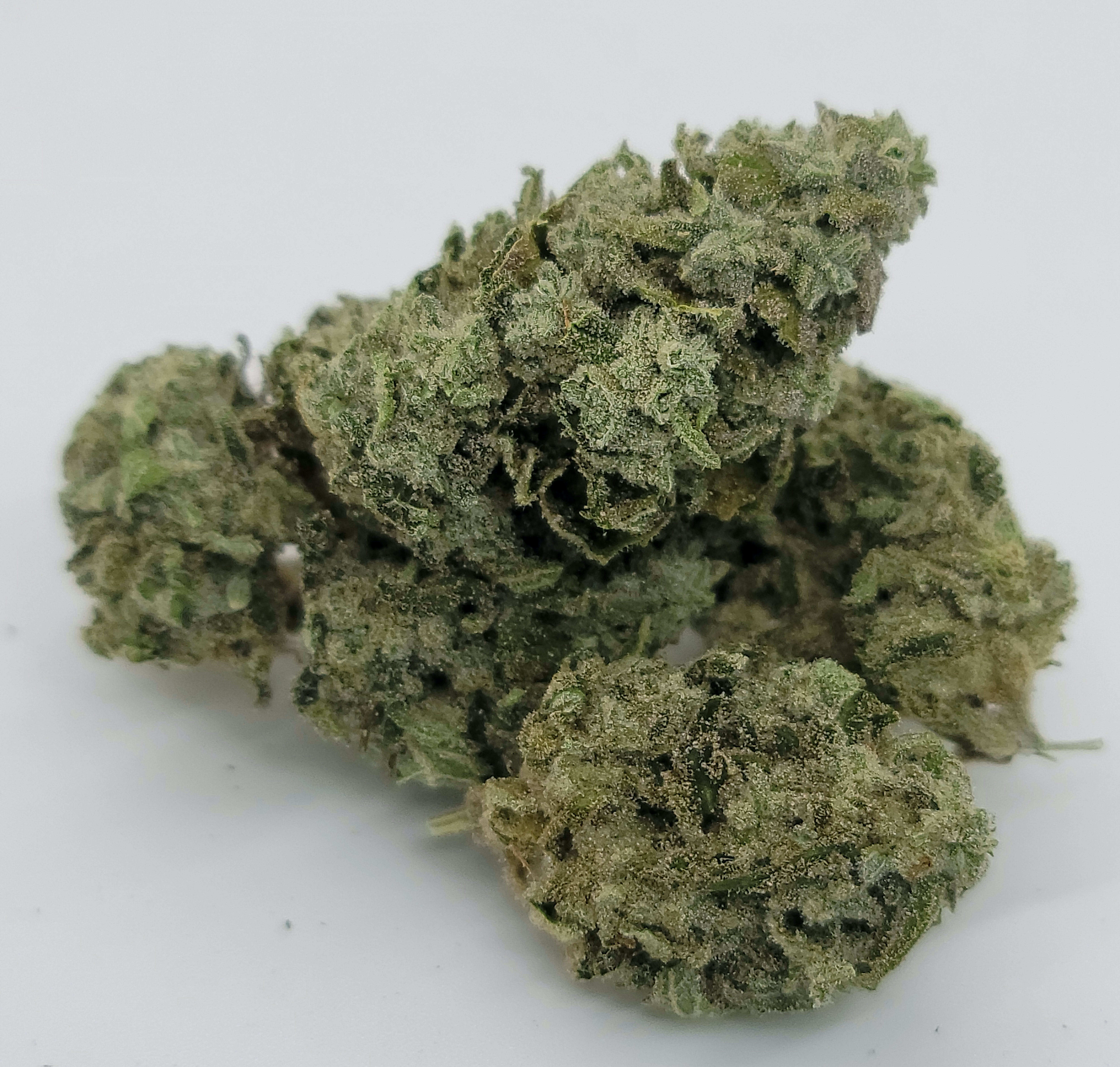TROPICANA BANANA - SOUTH PORT CANNABIS