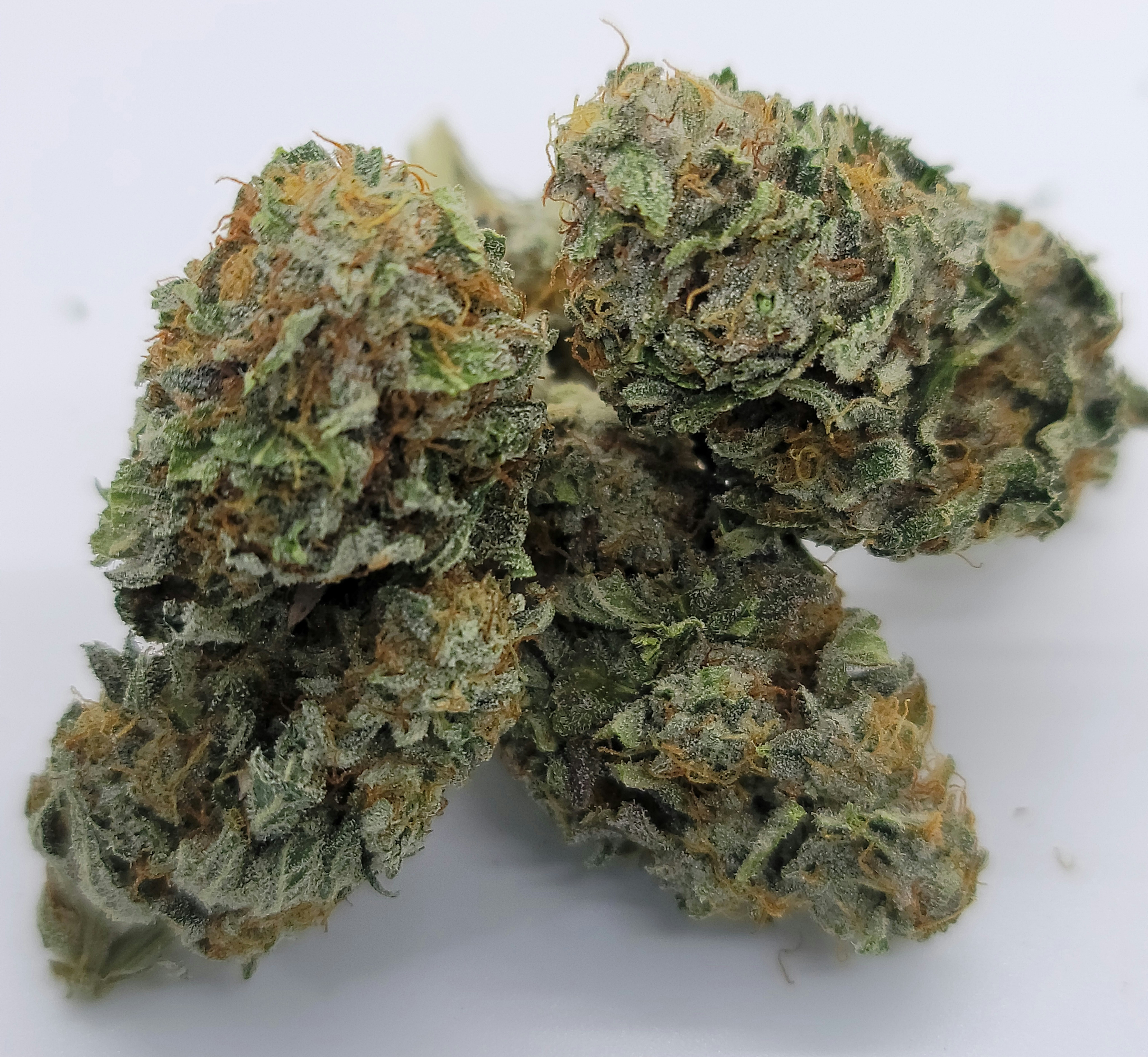 SCRUMTRULESCENT - SOUTH PORT CANNABIS