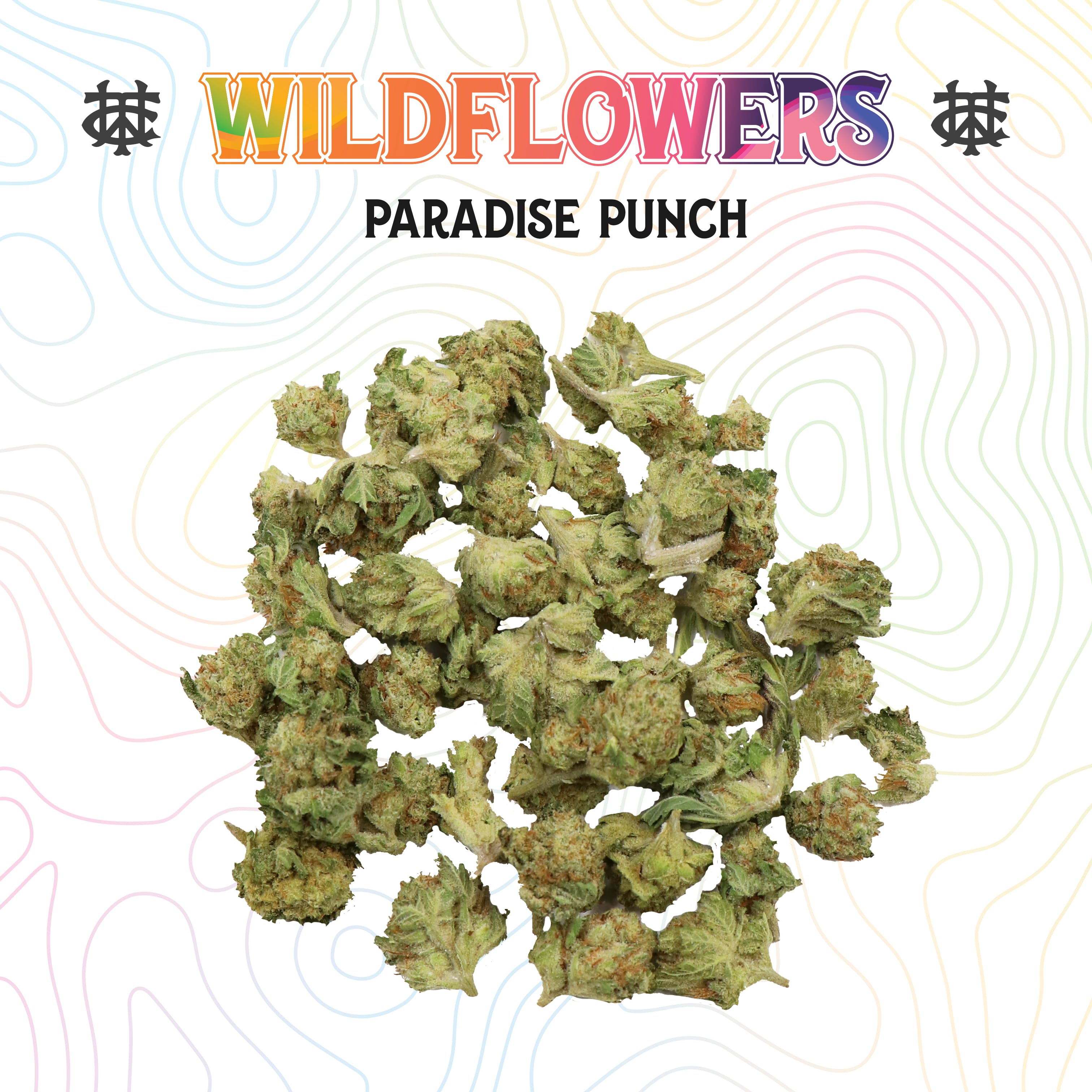 Paradise Punch | 3.5G | Mixed Light Smalls