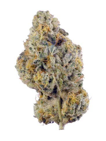 Full Zipp Wedding Cake