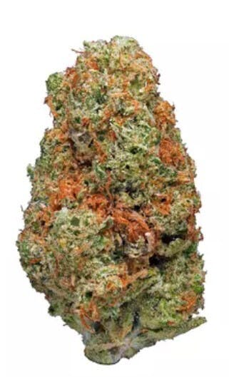 Quarter Zipp Golden Tangie