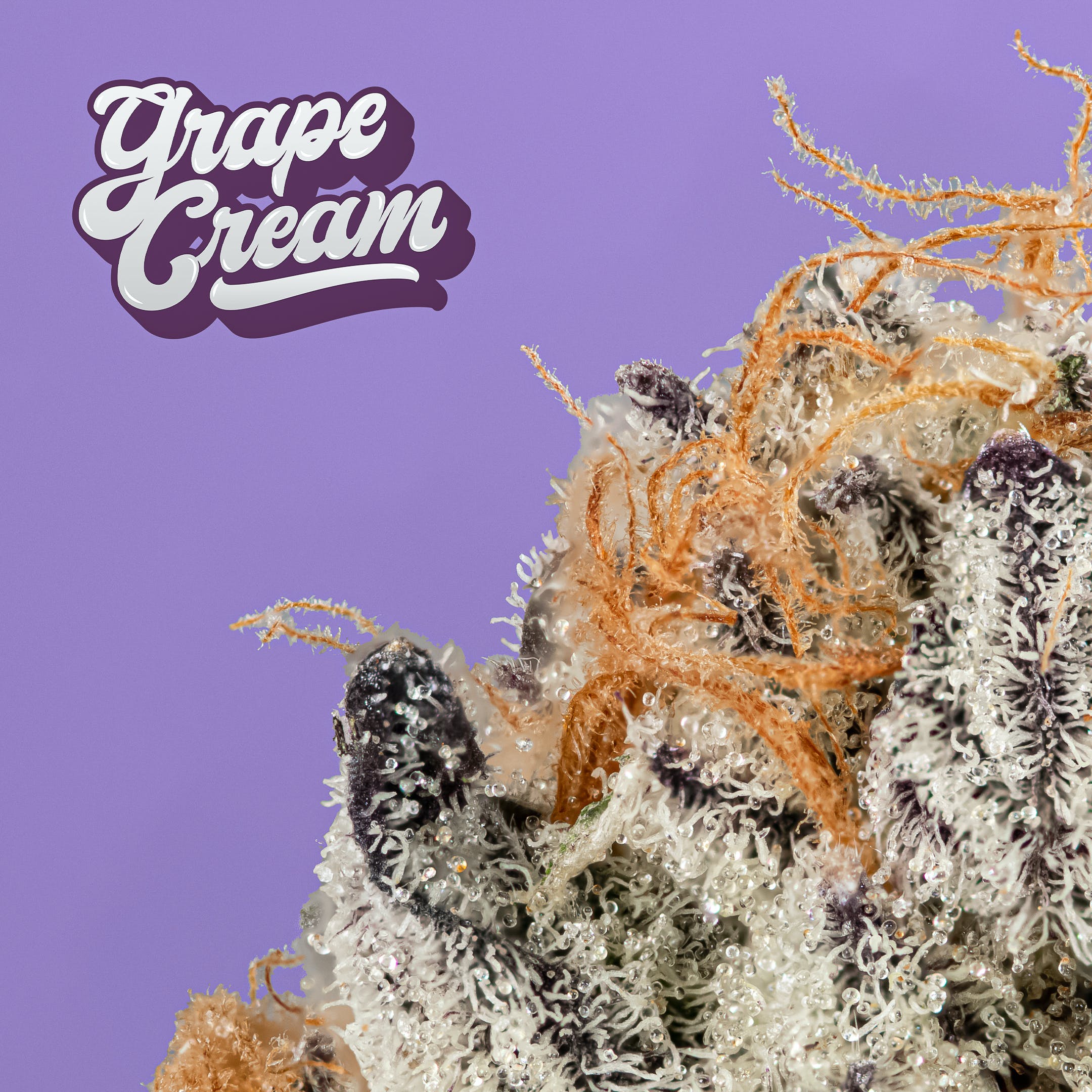 Grape Cream