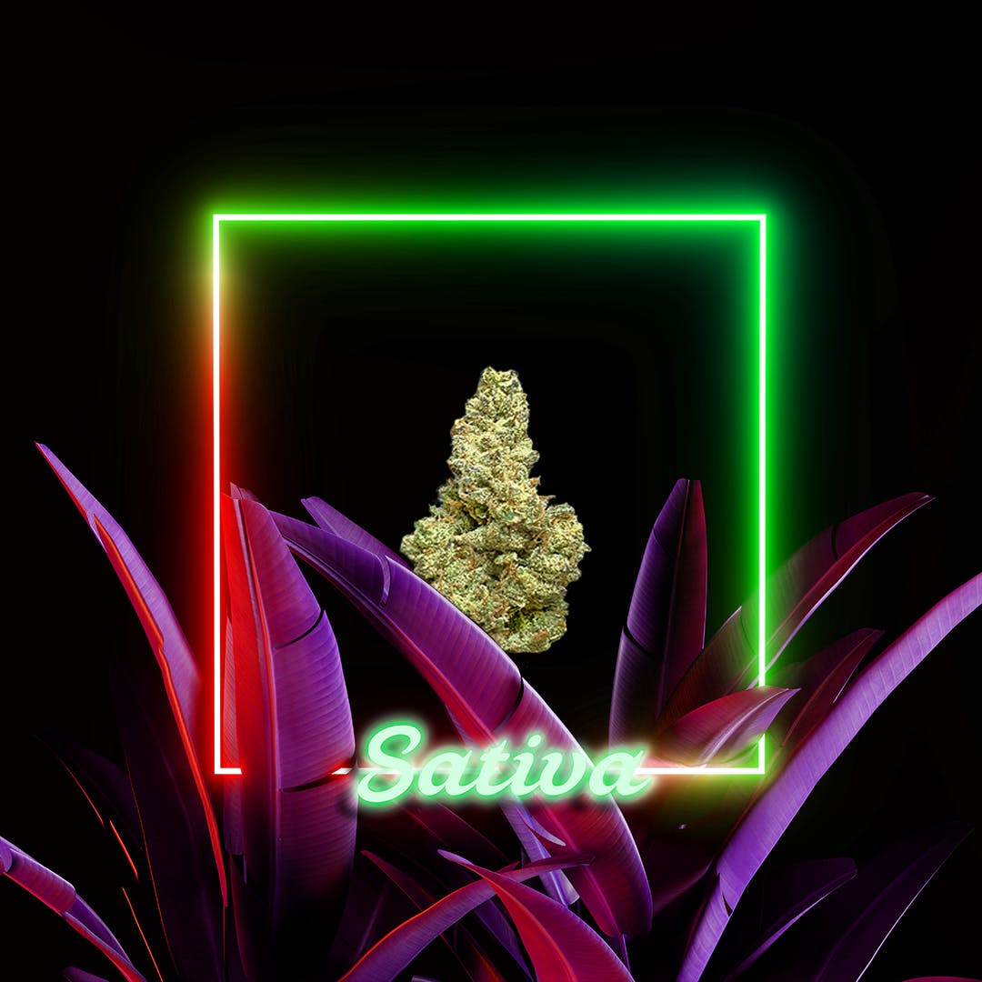 Tangilope l 3.5 grams l The Distributr