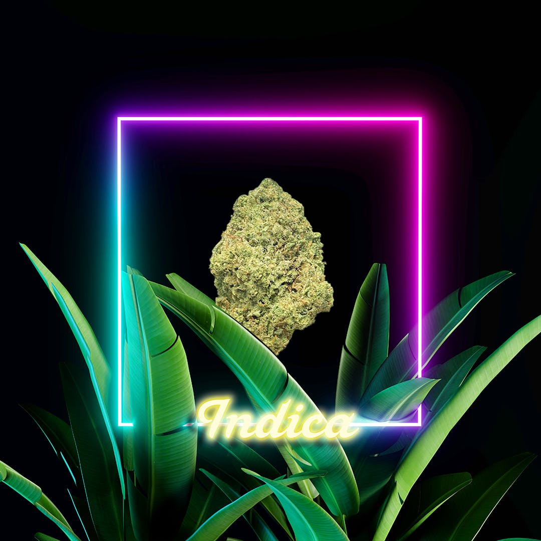 Creme Brulee l 3.5 grams l The Distributr