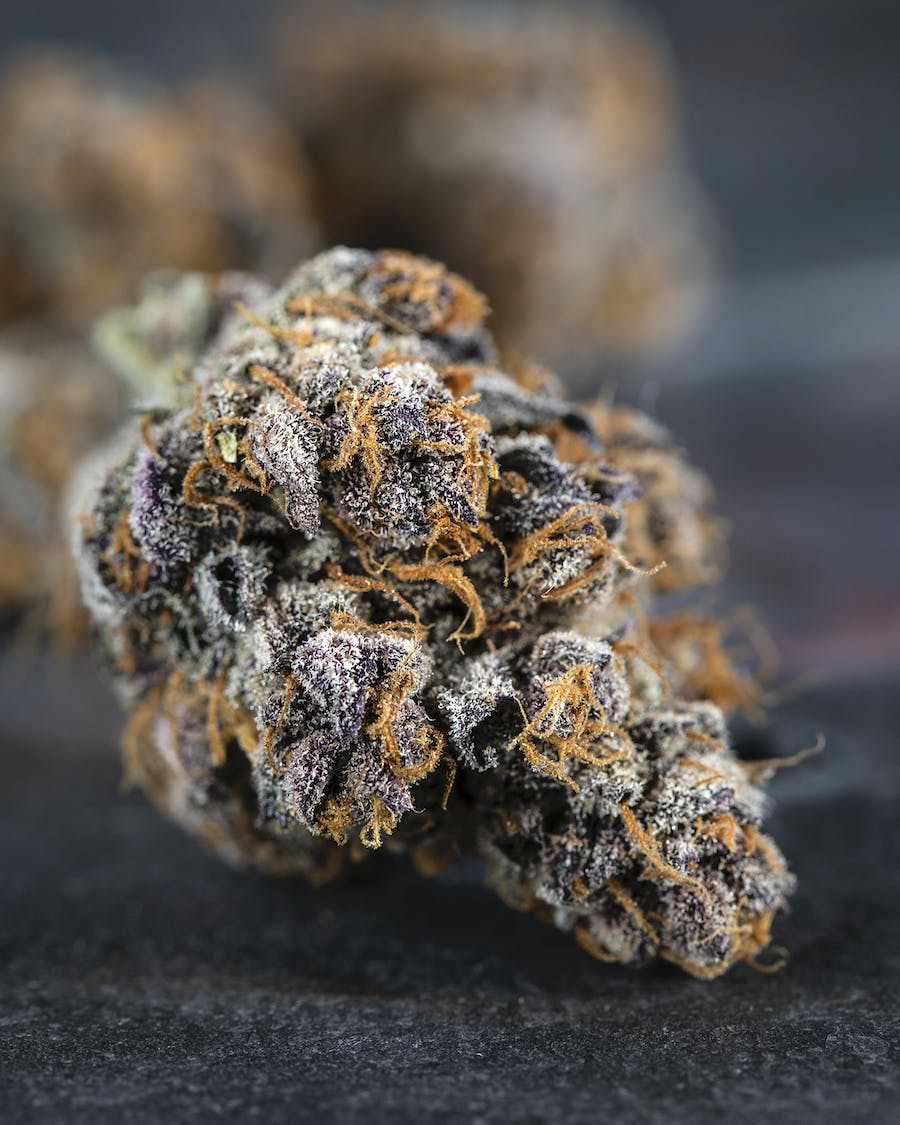 Pink Animal Crackers 3.5 grams (1/8th)