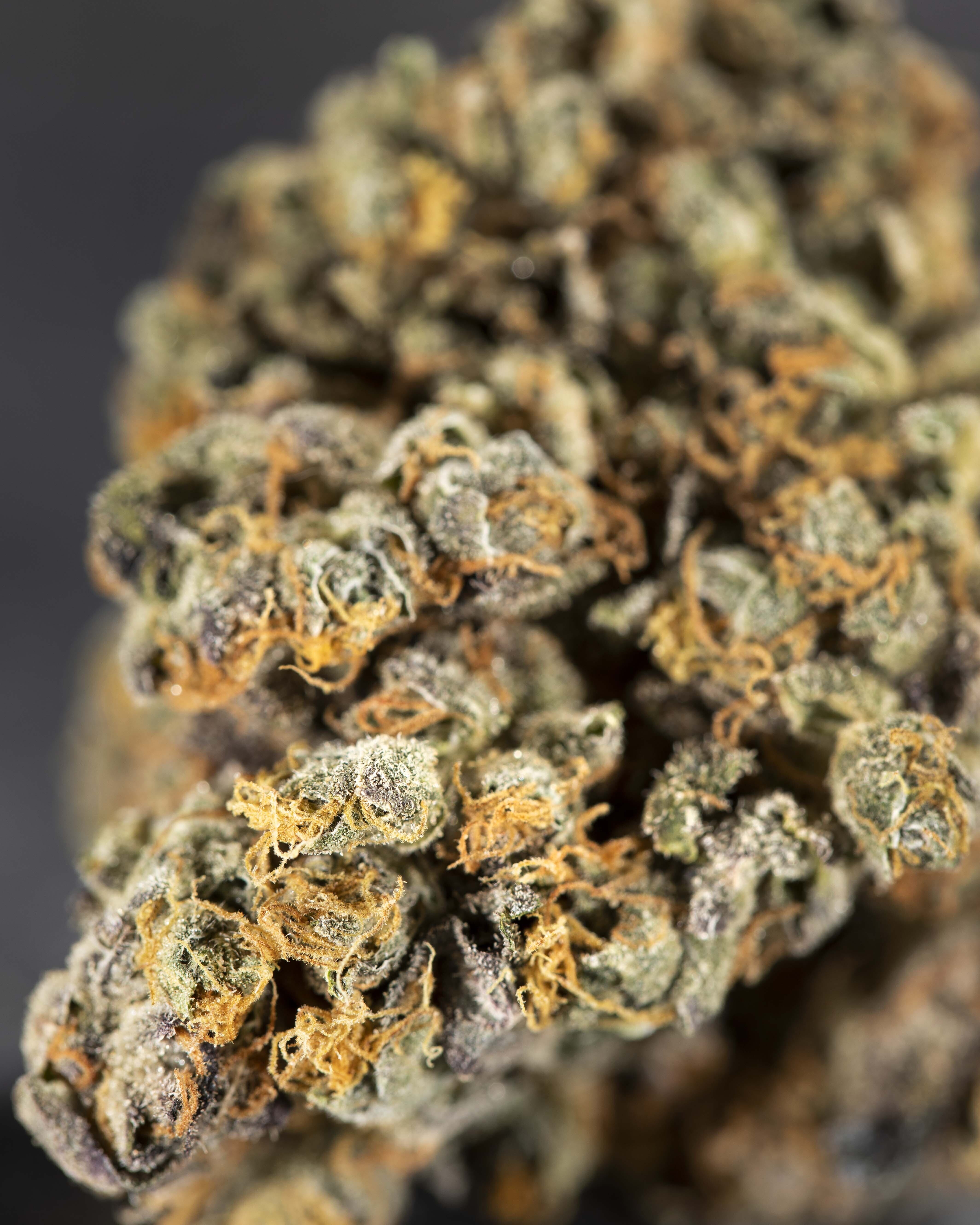 Gorilla Glue #1 (3.5 grams)