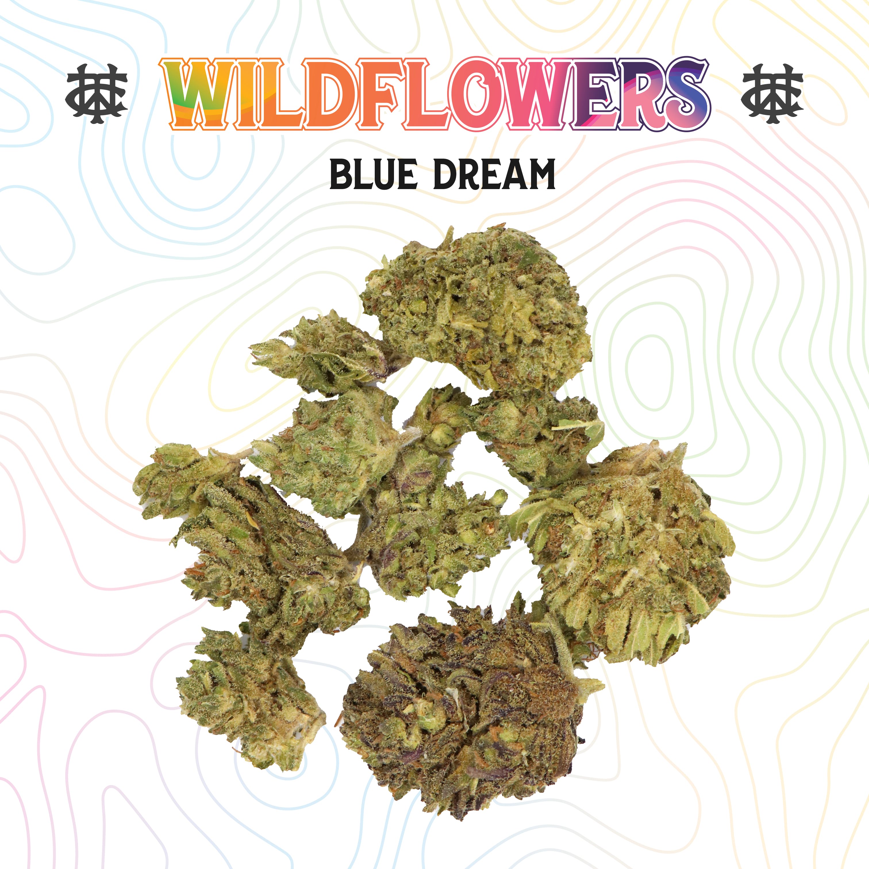 Blue Dream | 3.5G | Sungrown Bigs