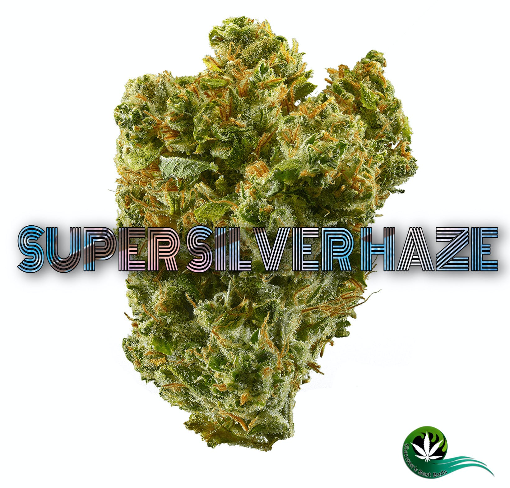 Super Silver Haze