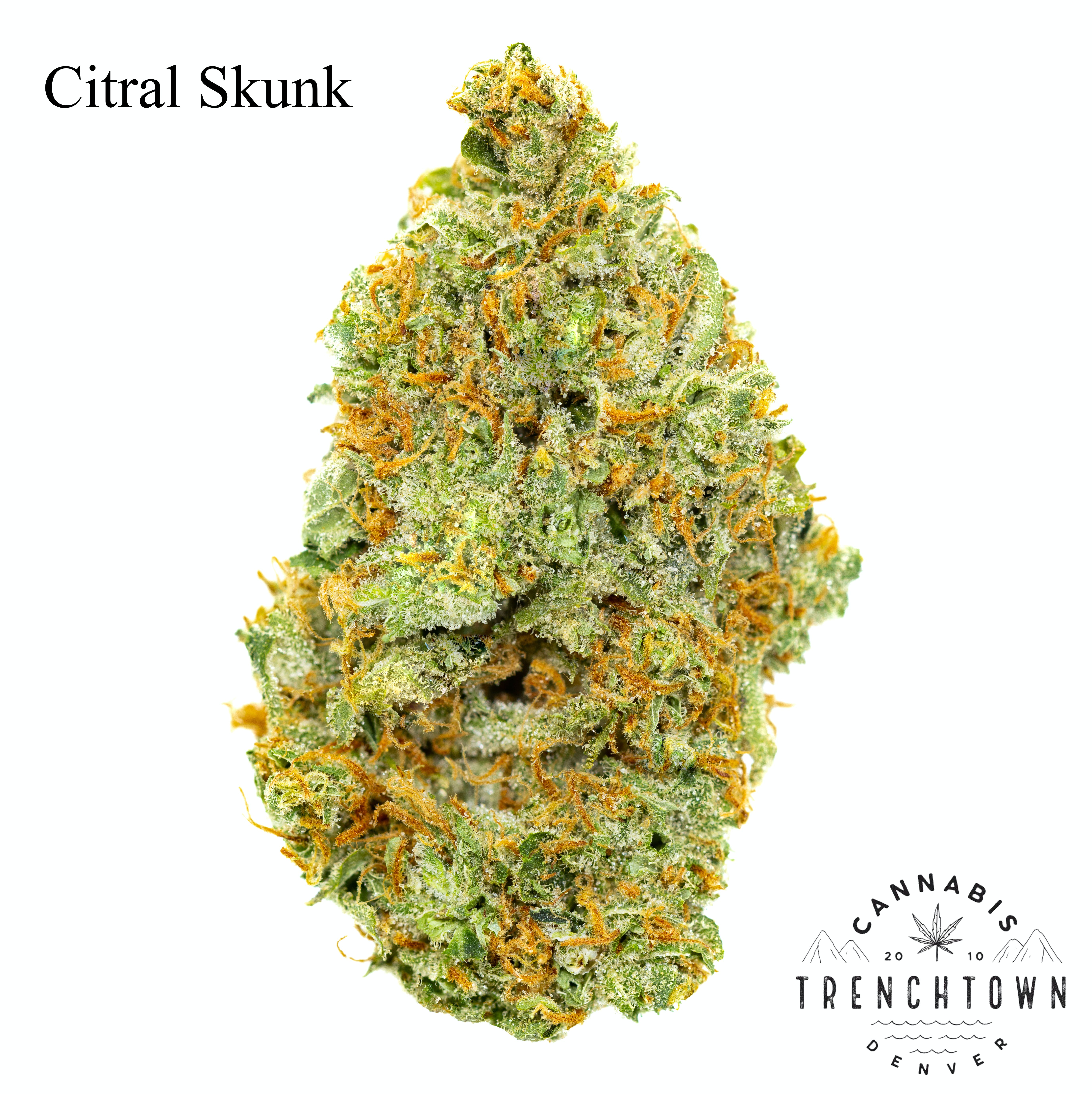 Citral Skunk