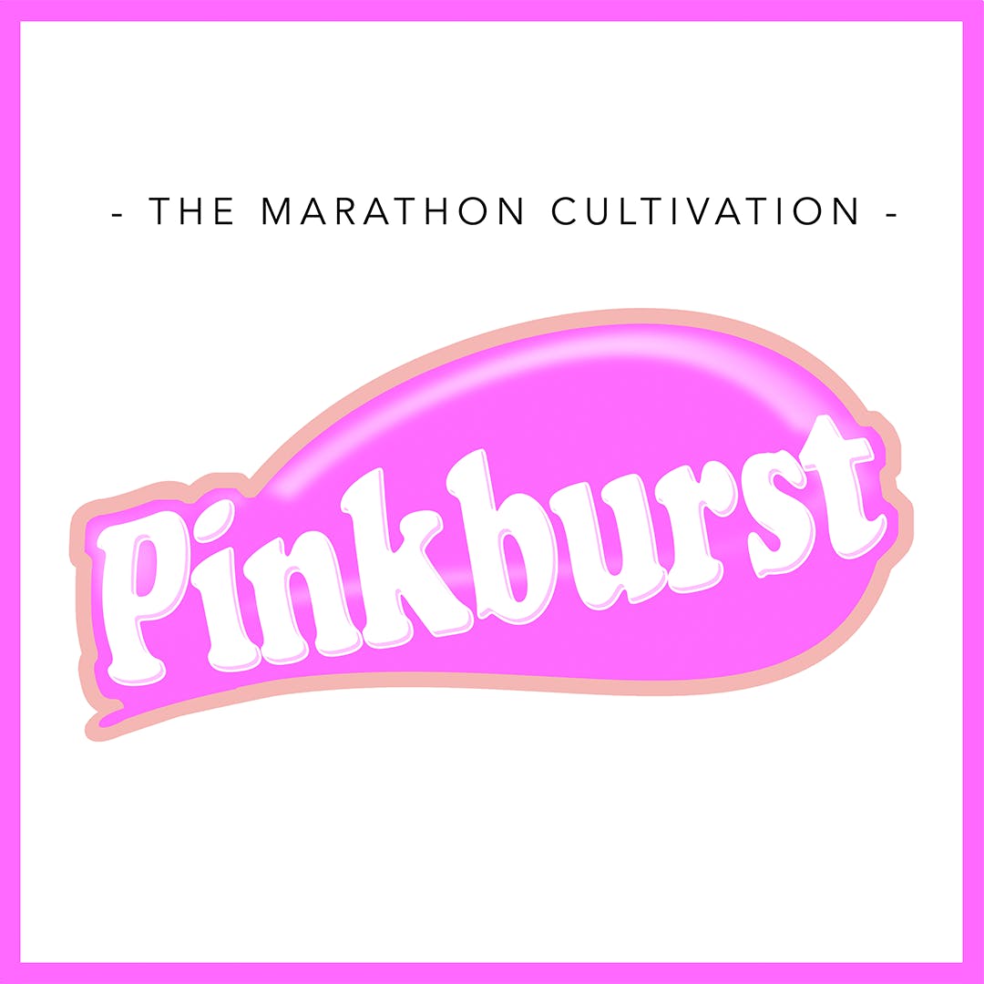 Pinkburst