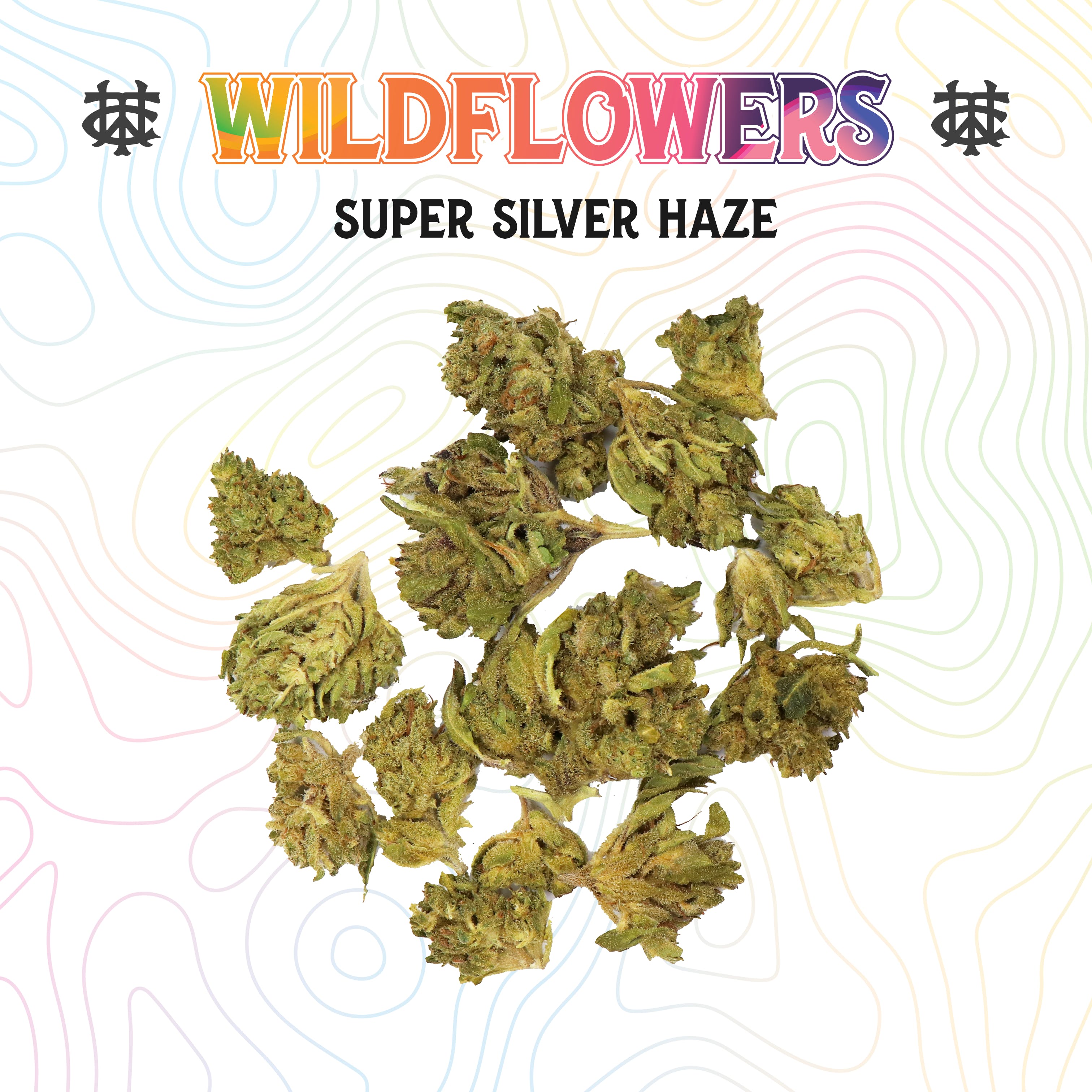 Super Silver Haze | 3.5g | Sungrown