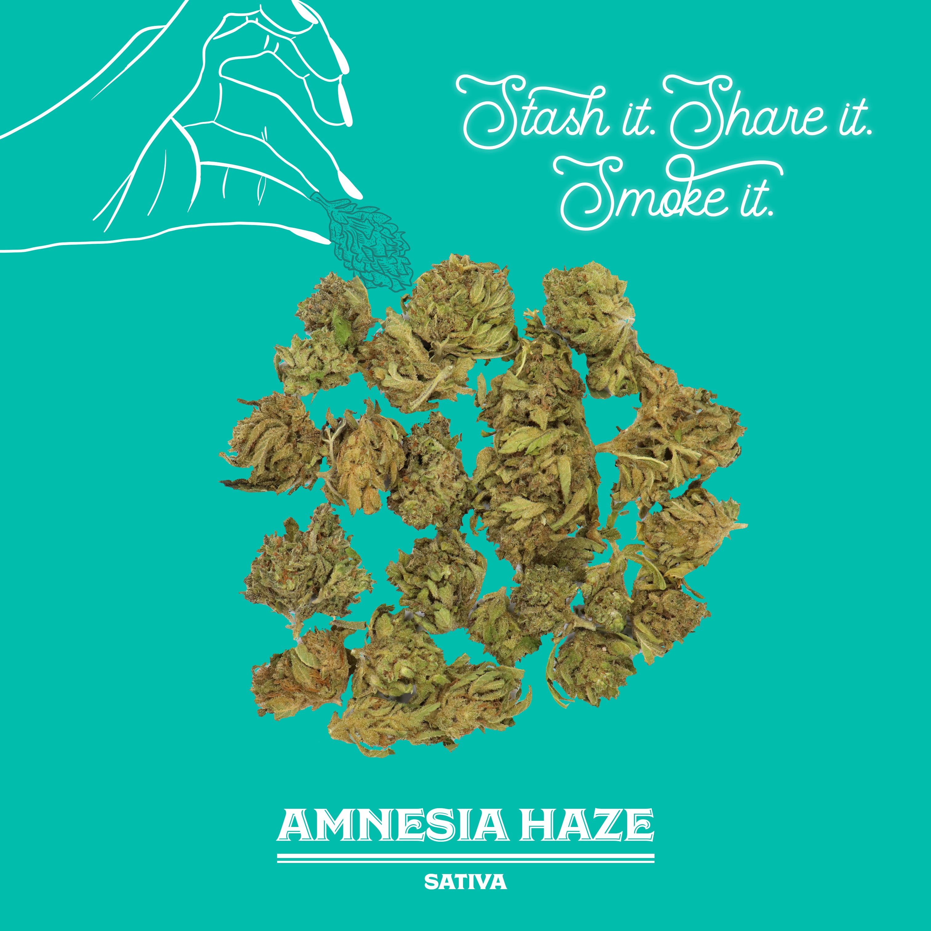 Amnesia Haze | 28G | Sungrown