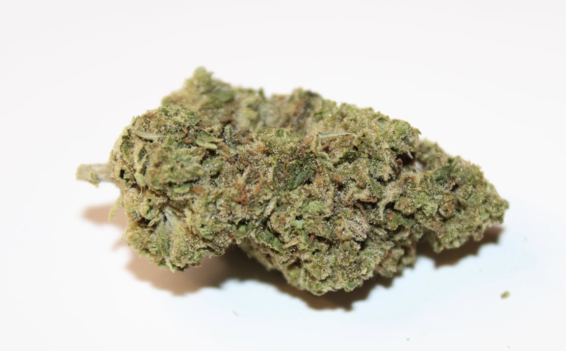 Berry Punch Ounce/28 grams (23.6% THC, Sativa)