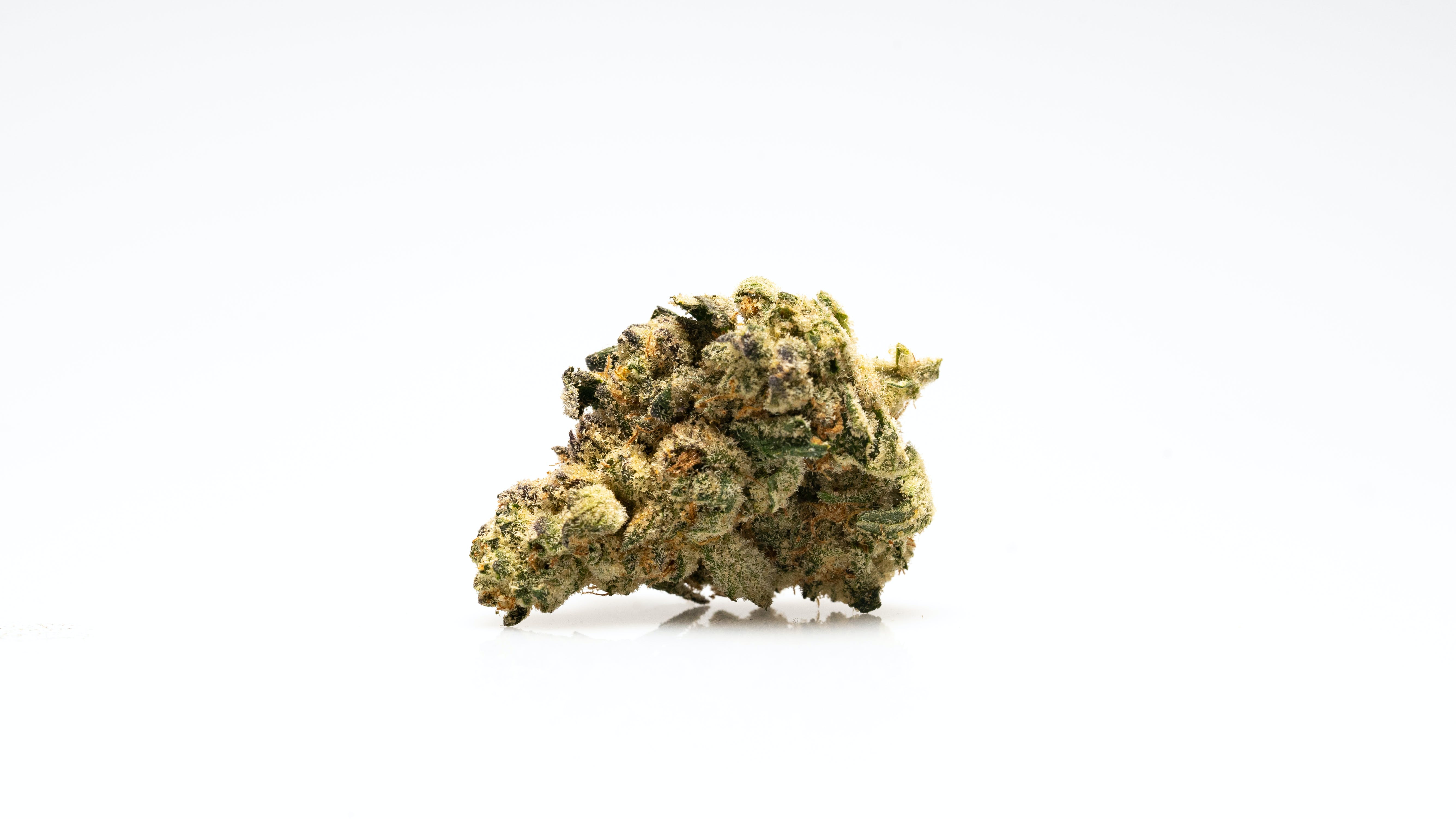 THC Design Garlic Cocktail