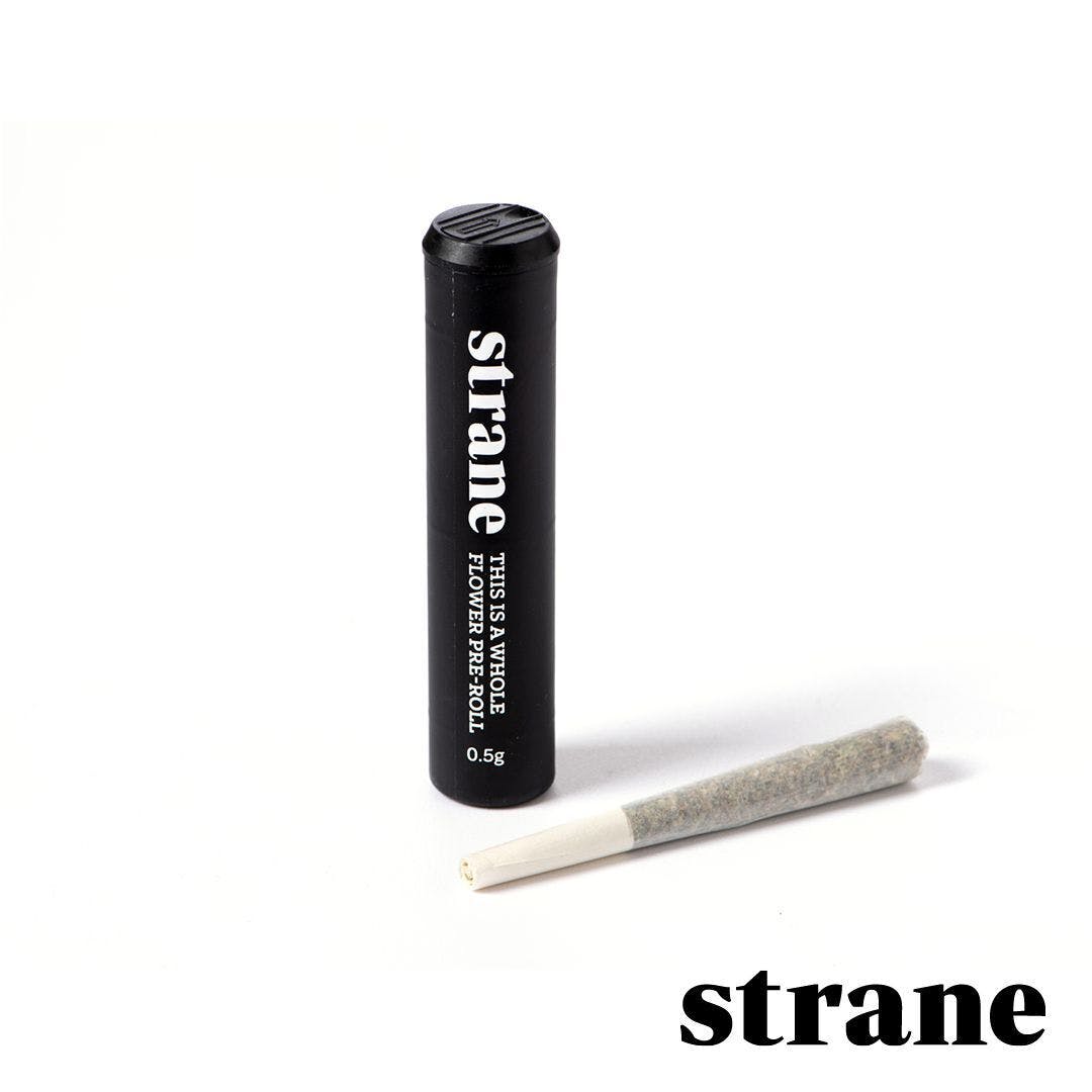 Mac and Cheese [1g] Pre Rolls