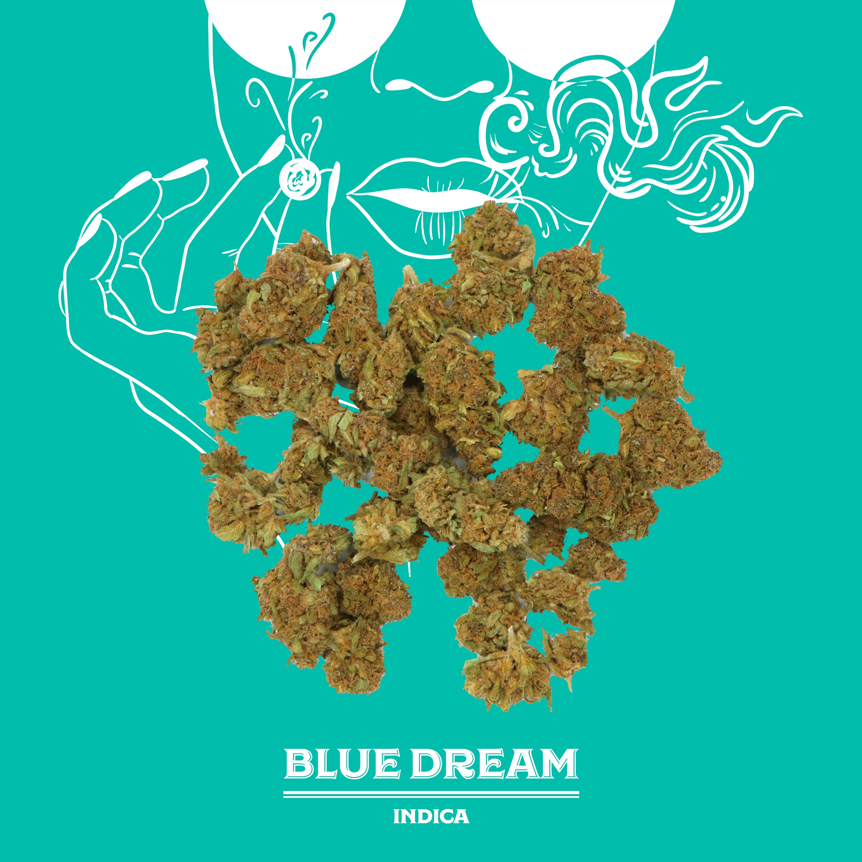 Blue Dream | 14G | Sungrown