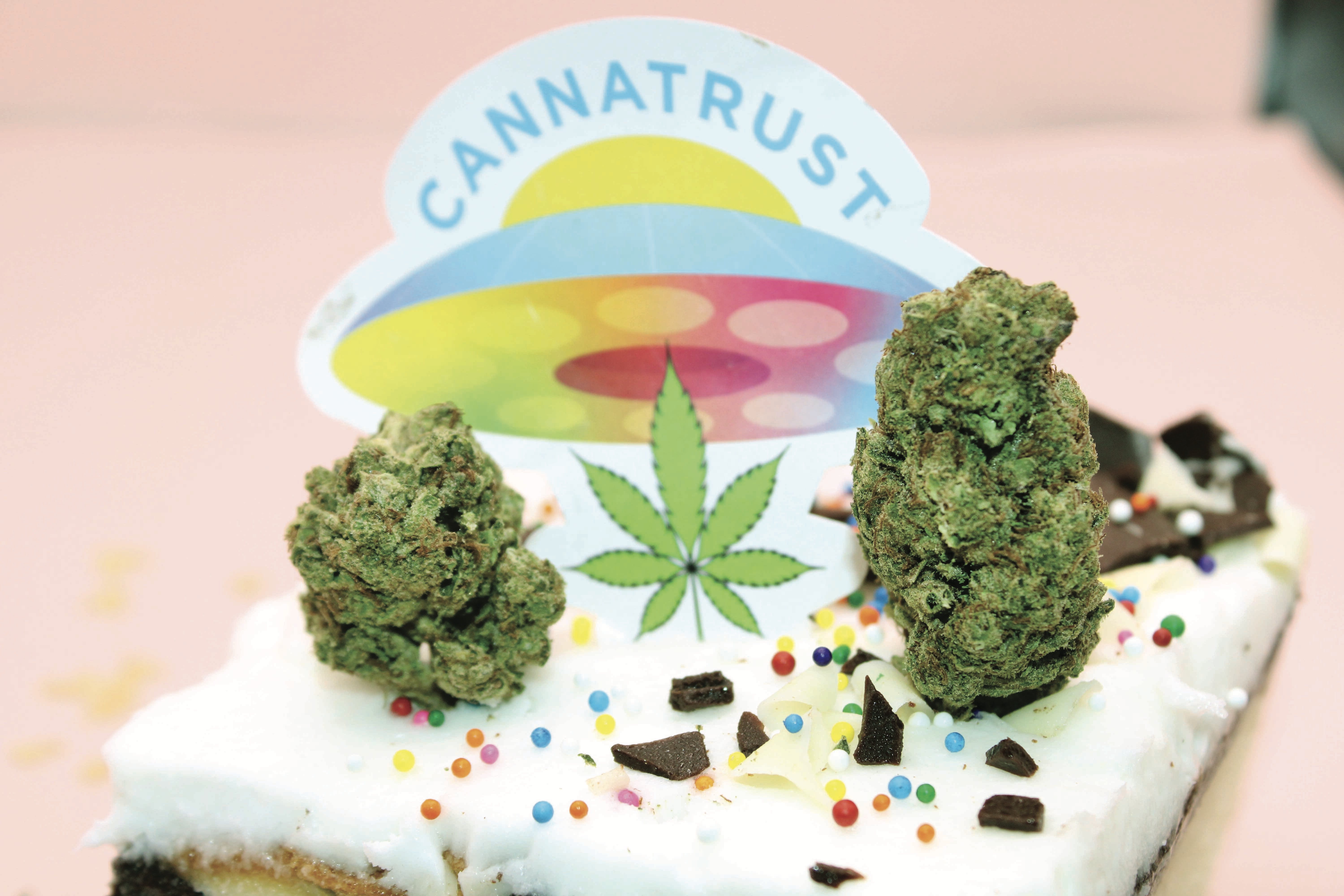 Birthday Cake 1/2 Ounce/14 Grams (28% THC, Hybrid)