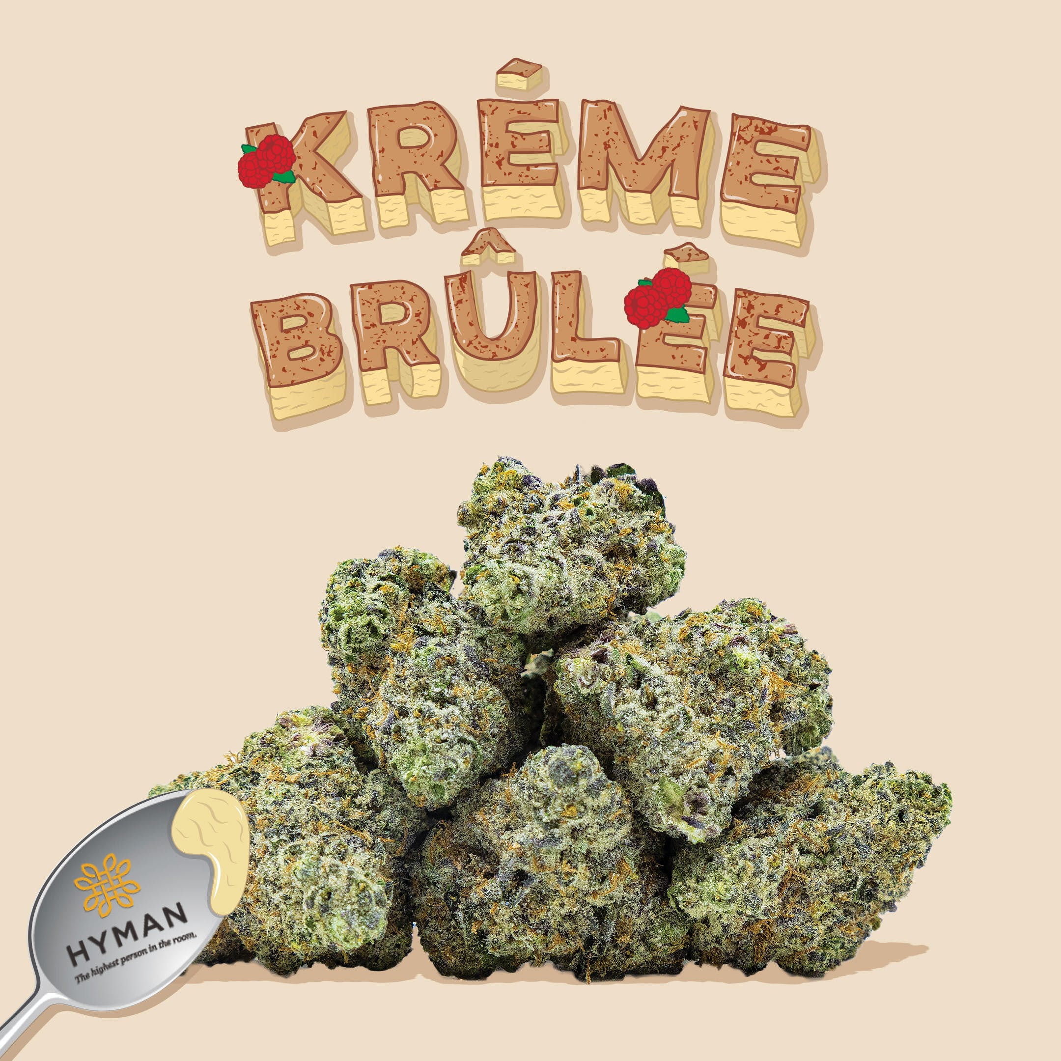 Kreme Brulee | 3.5G Pre-Pack | HYMAN | REC