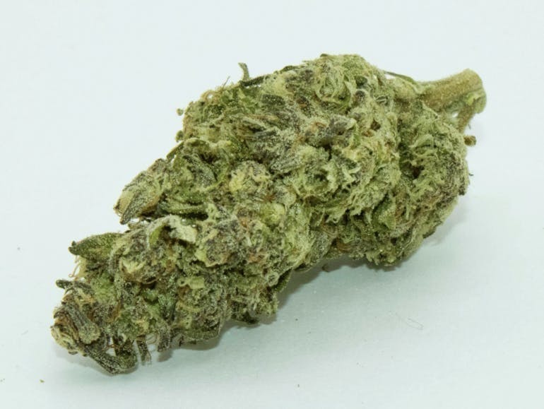 Gushmints 8th/3.5 Grams (24% THC, Hybrid)