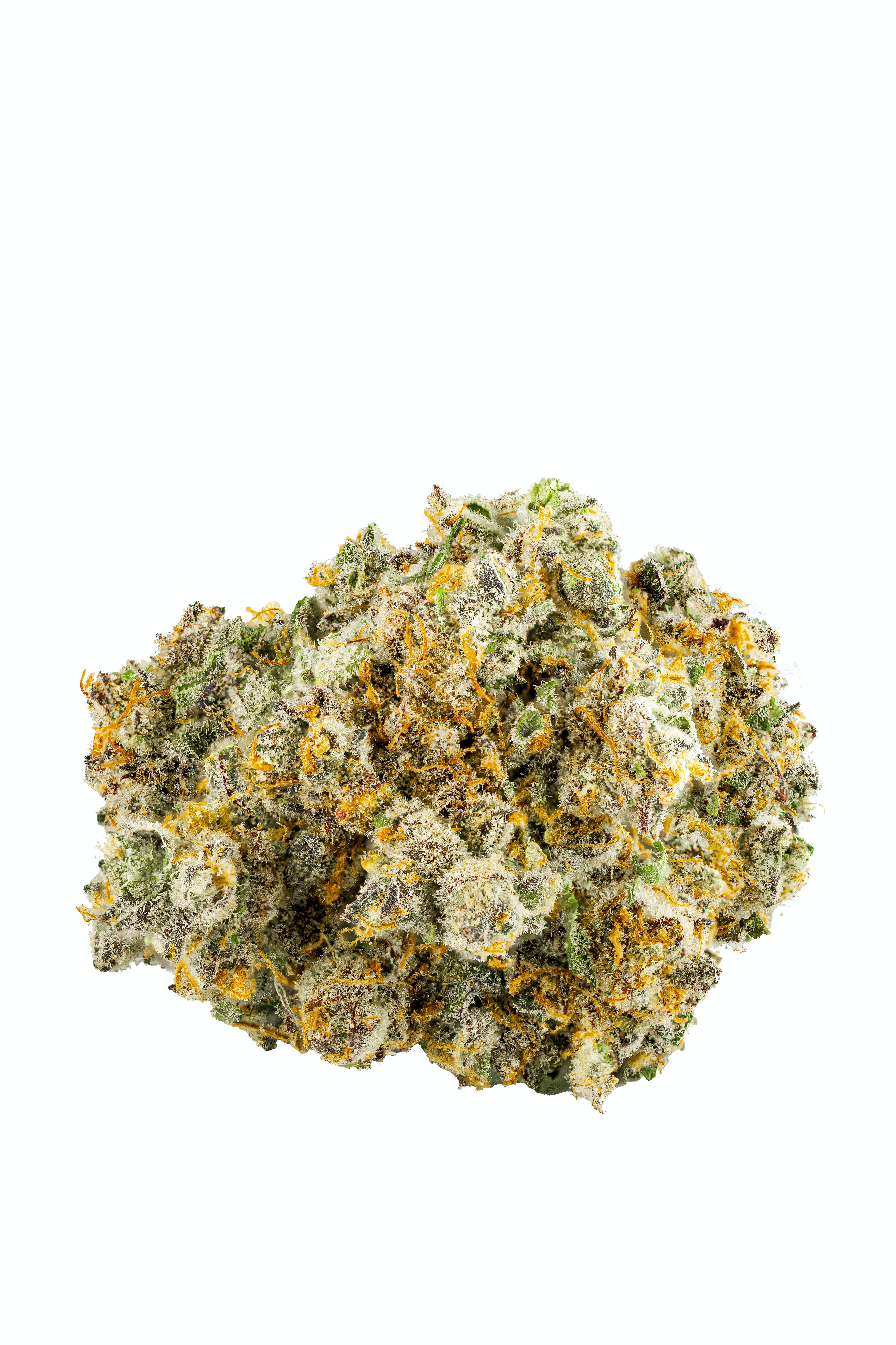 London Pound Mints 11