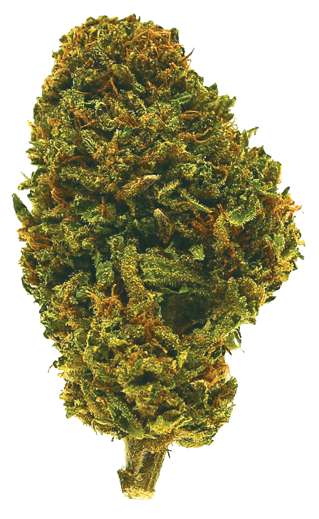 Strawberry G 8th/3.5 Grams (8.96% THC/17.6% CBD) Perfect 3:1