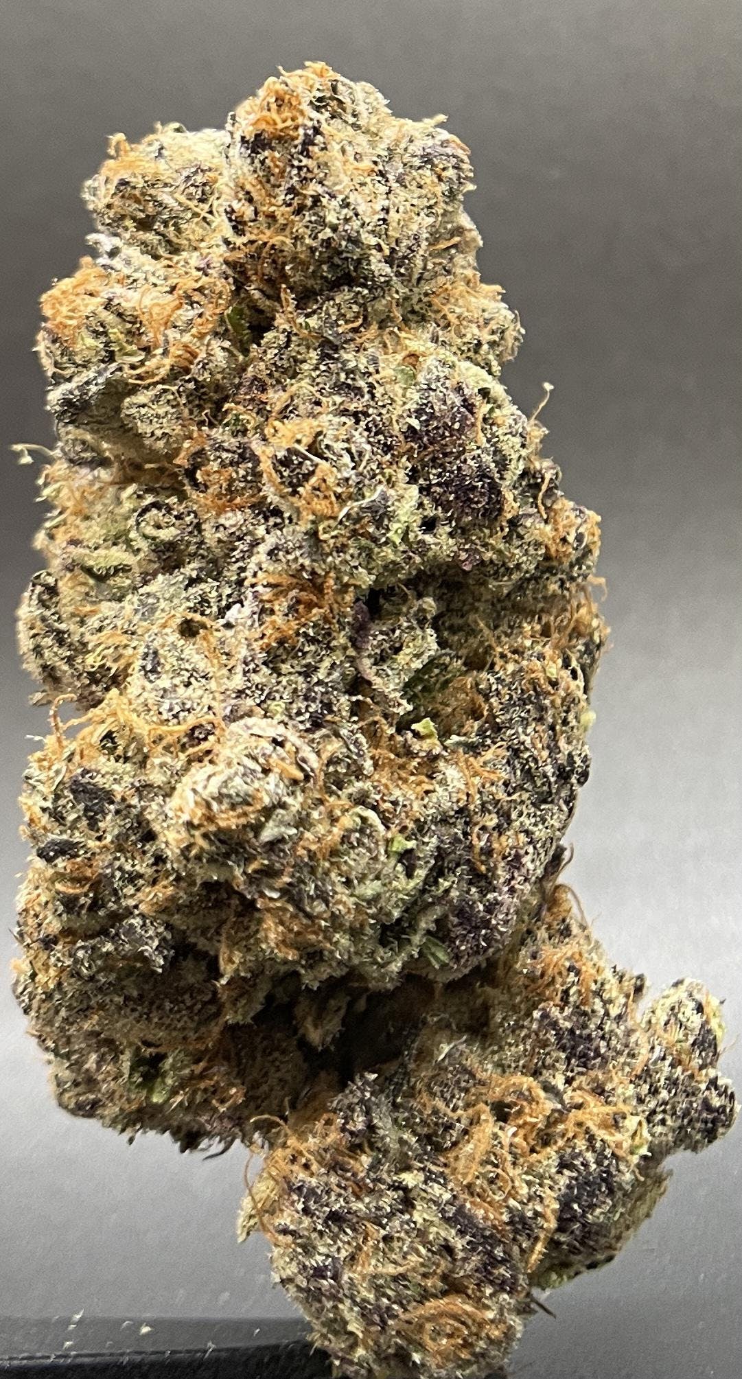 Purple Hindu Kush Flower