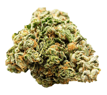 Biscotti 1/2 Ounce/14 Grams (33% THC, Indica)