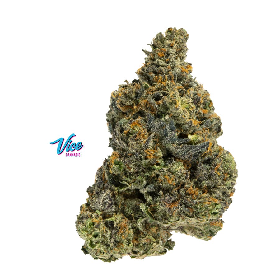 Gelato (Sunset Sherbet X Thin Mint GSC): Flower *Top Shelf SMALL BUDS*