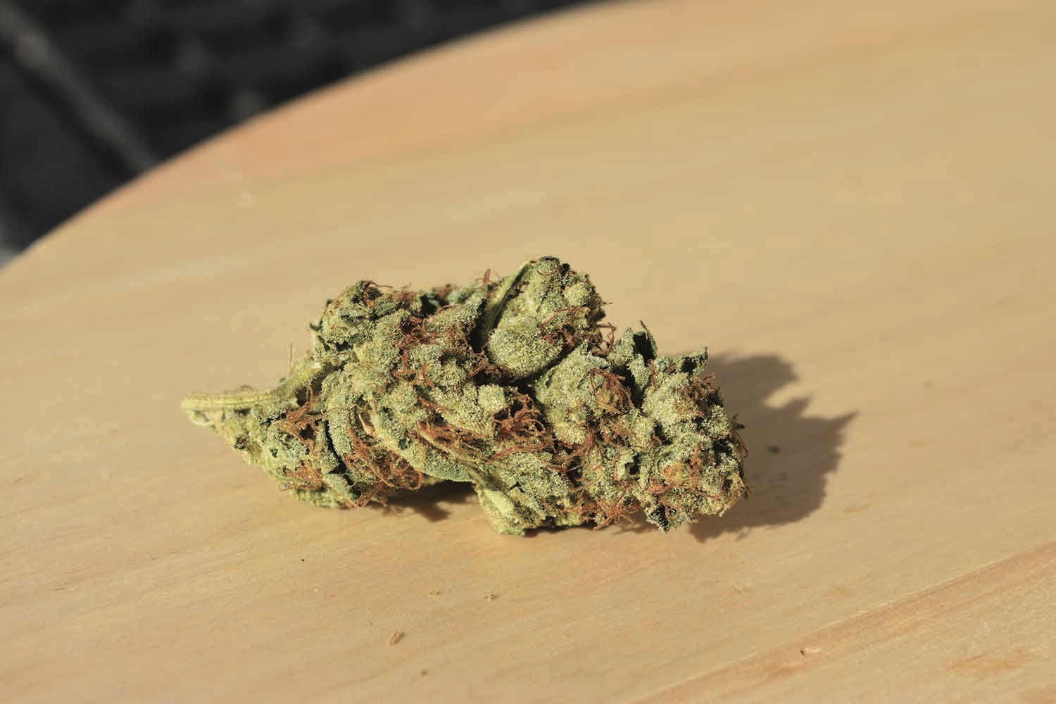 Cookie Pie 1 Gram (19.8% THC, Hybrid)