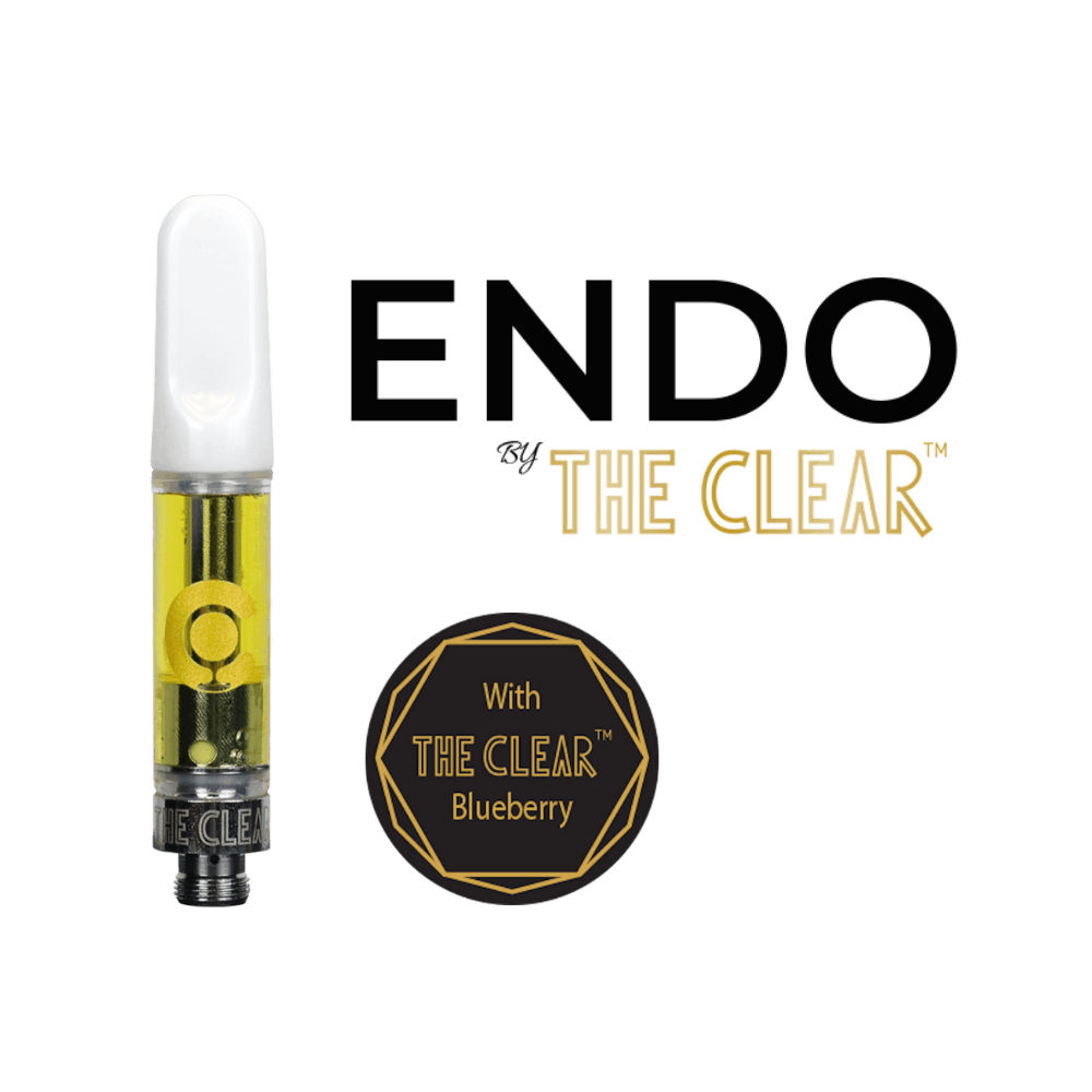 ENDO 1000mg Cartridge Blueberry