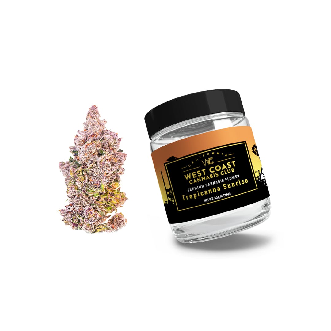 WCCC | Tropicana Sunrise