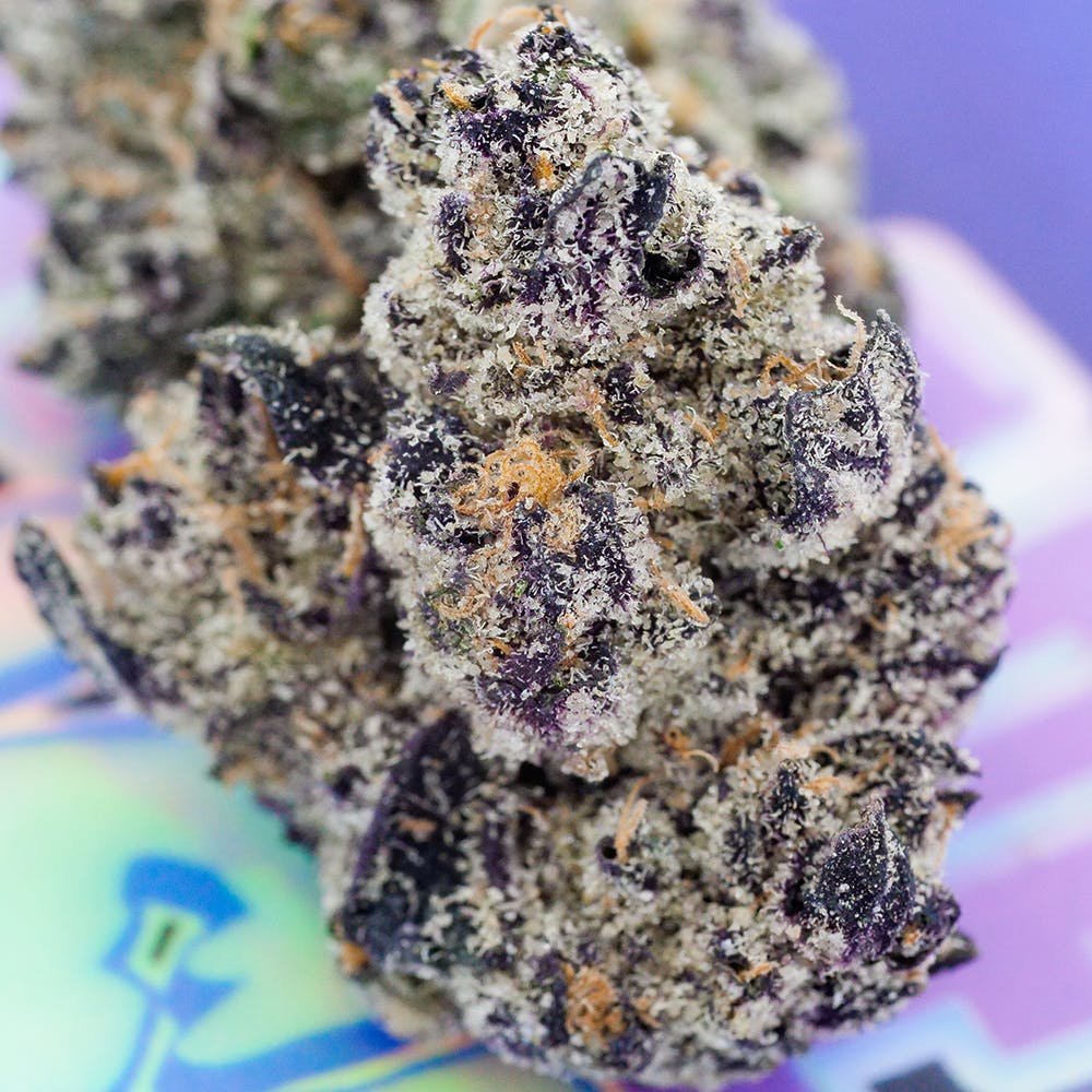 Grape Gelato Push Pop