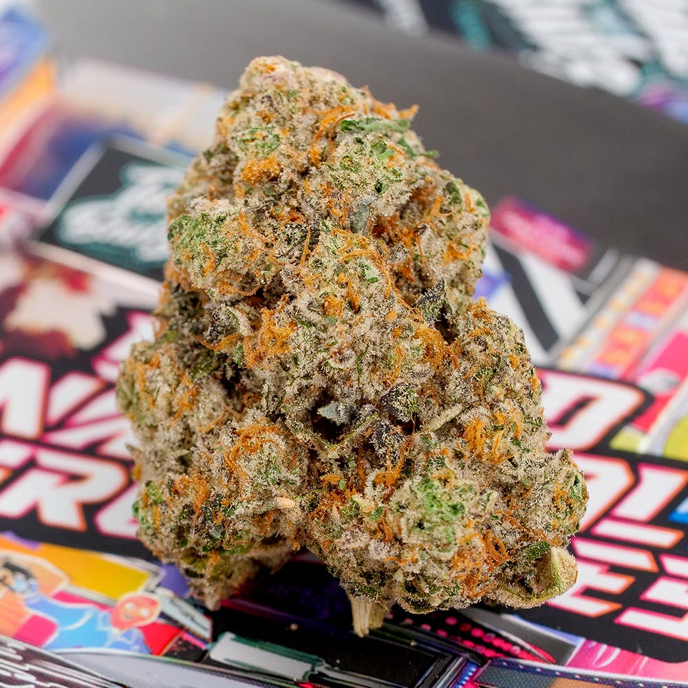 Grand National Chronicles