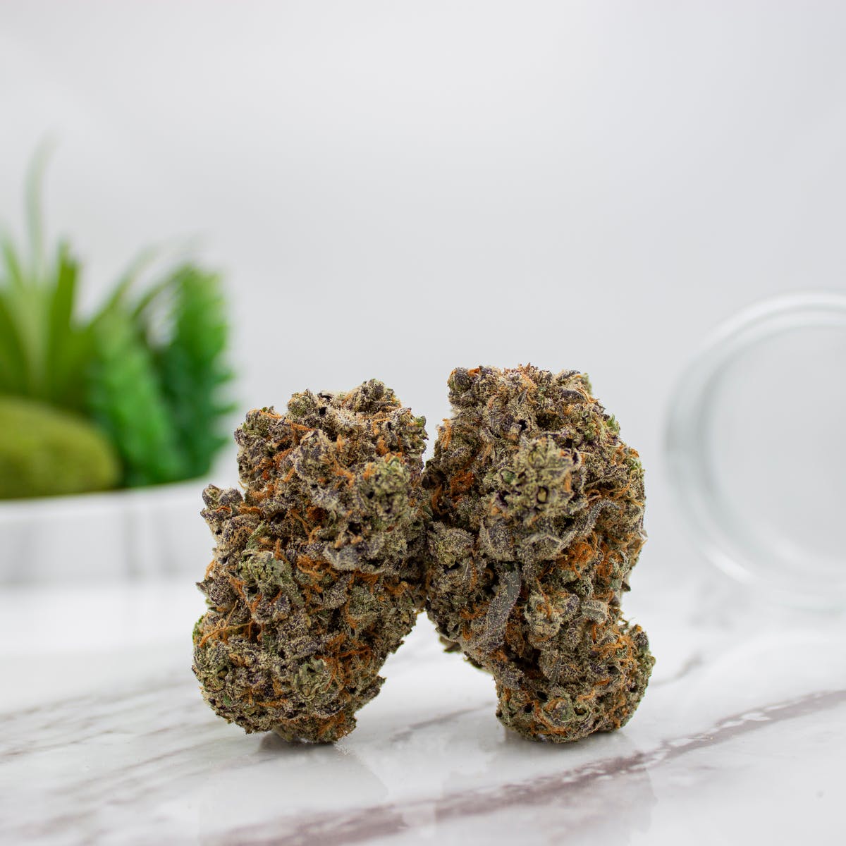 Blueberry Patch Cookie