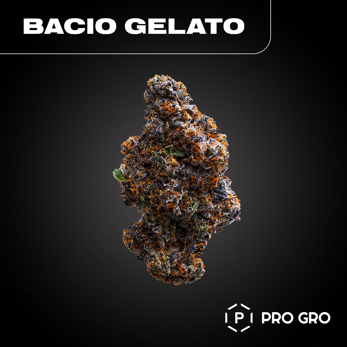 Bacio Gelato